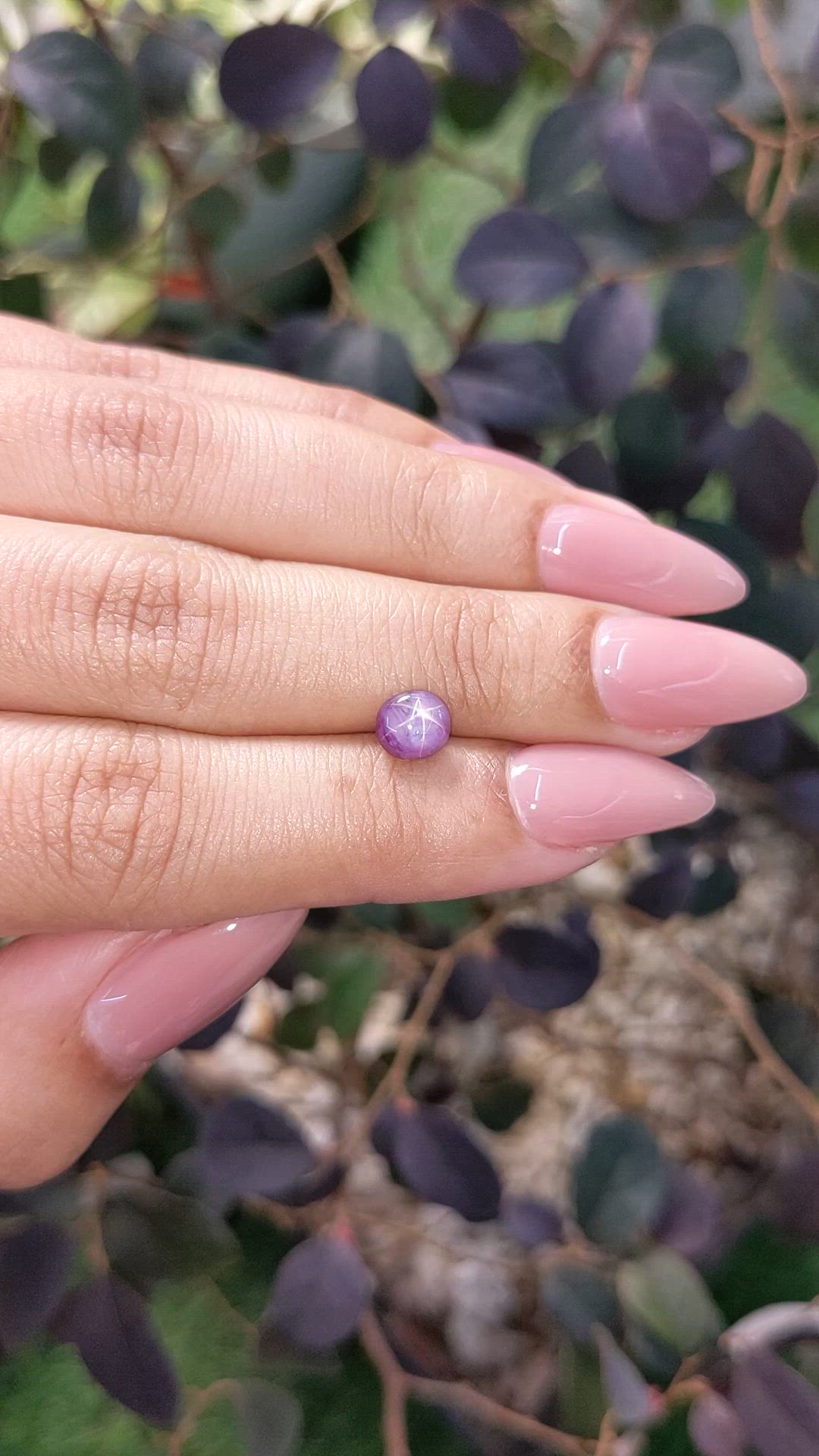 1.37 Ct. Purple Star Sapphire from Ceylon (Sri Lanka) Size Video