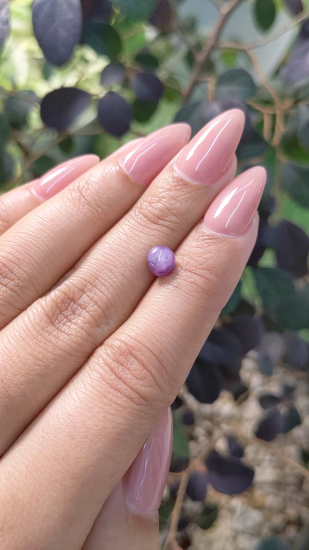 1.37 Ct. Purple Star Sapphire from Ceylon (Sri Lanka) Size Video