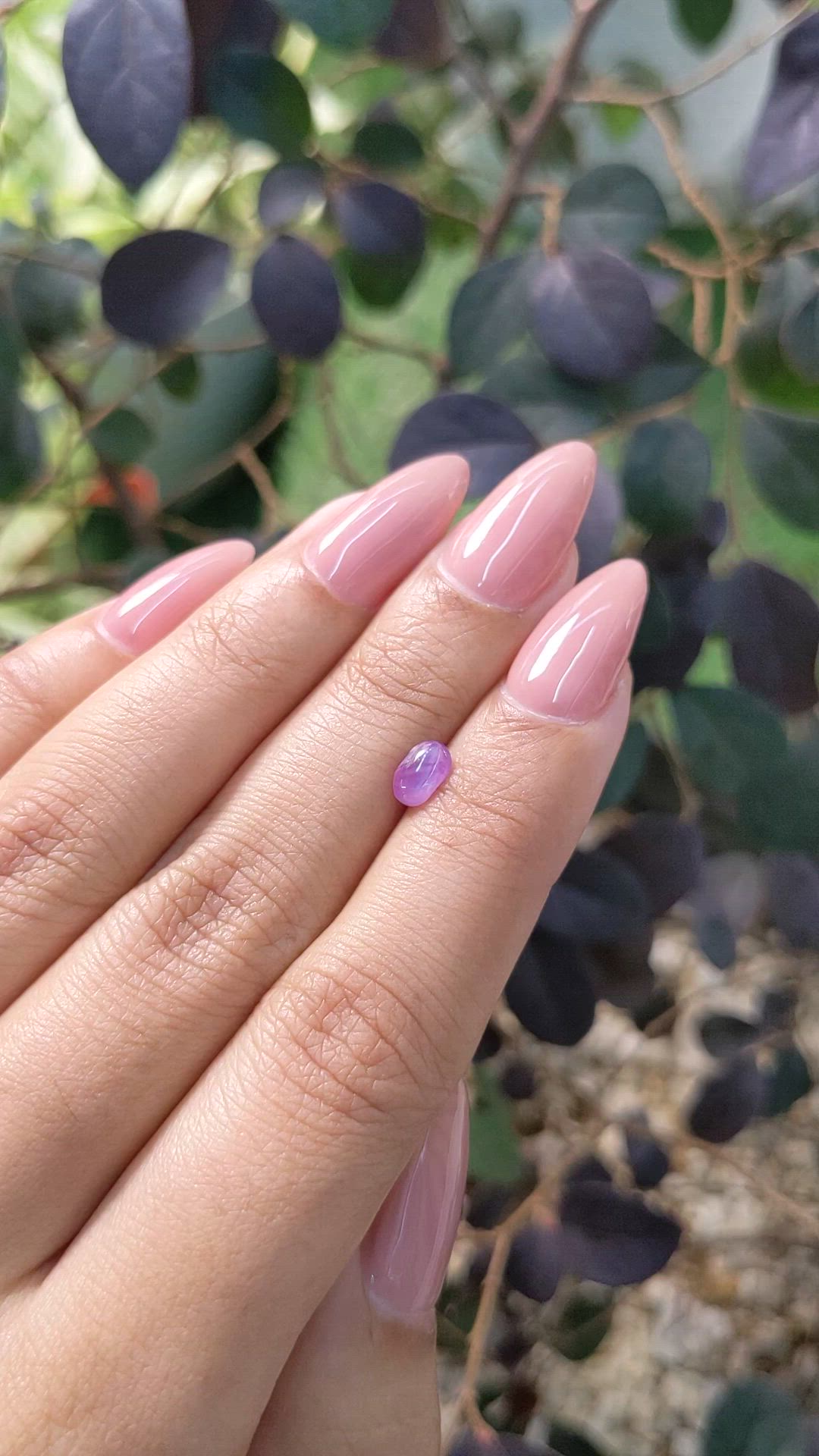 0.77 Ct. Pinkish Purple Star Sapphire from Ceylon (Sri Lanka) Size Video