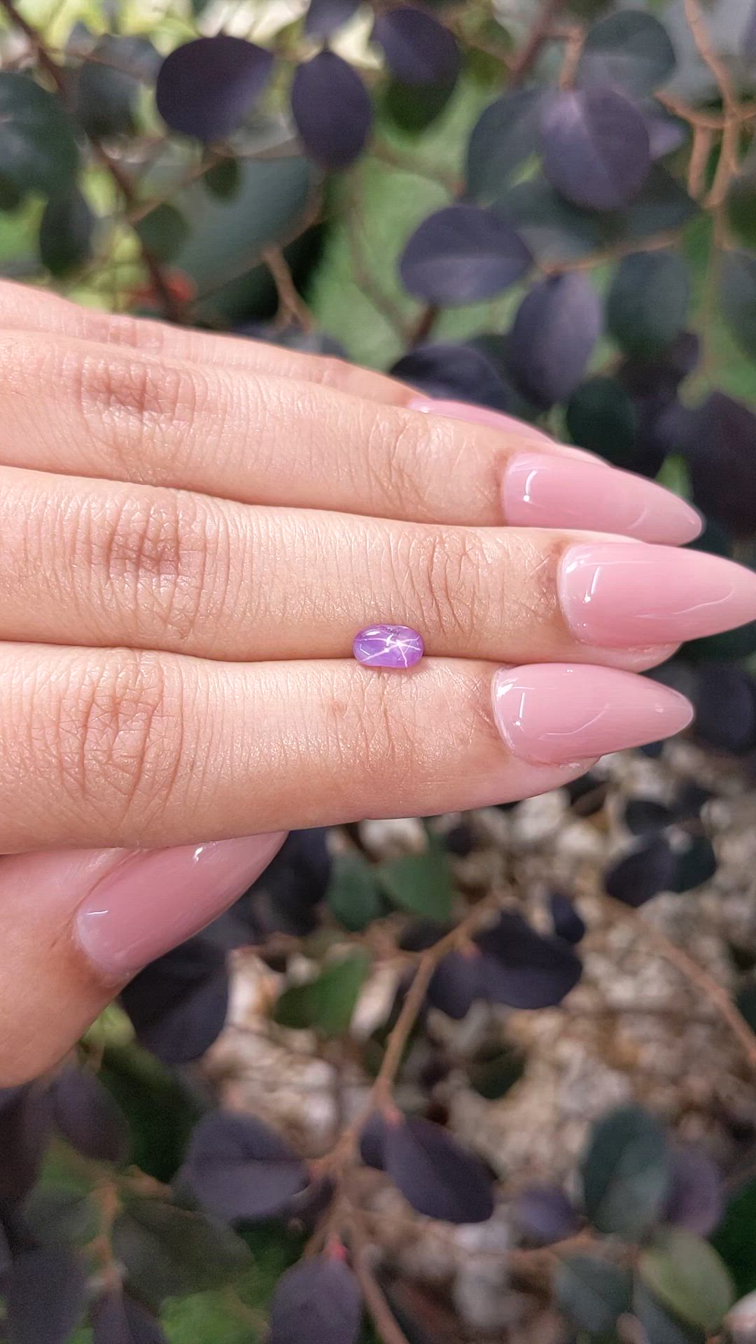 0.77 Ct. Pinkish Purple Star Sapphire from Ceylon (Sri Lanka) Size Video