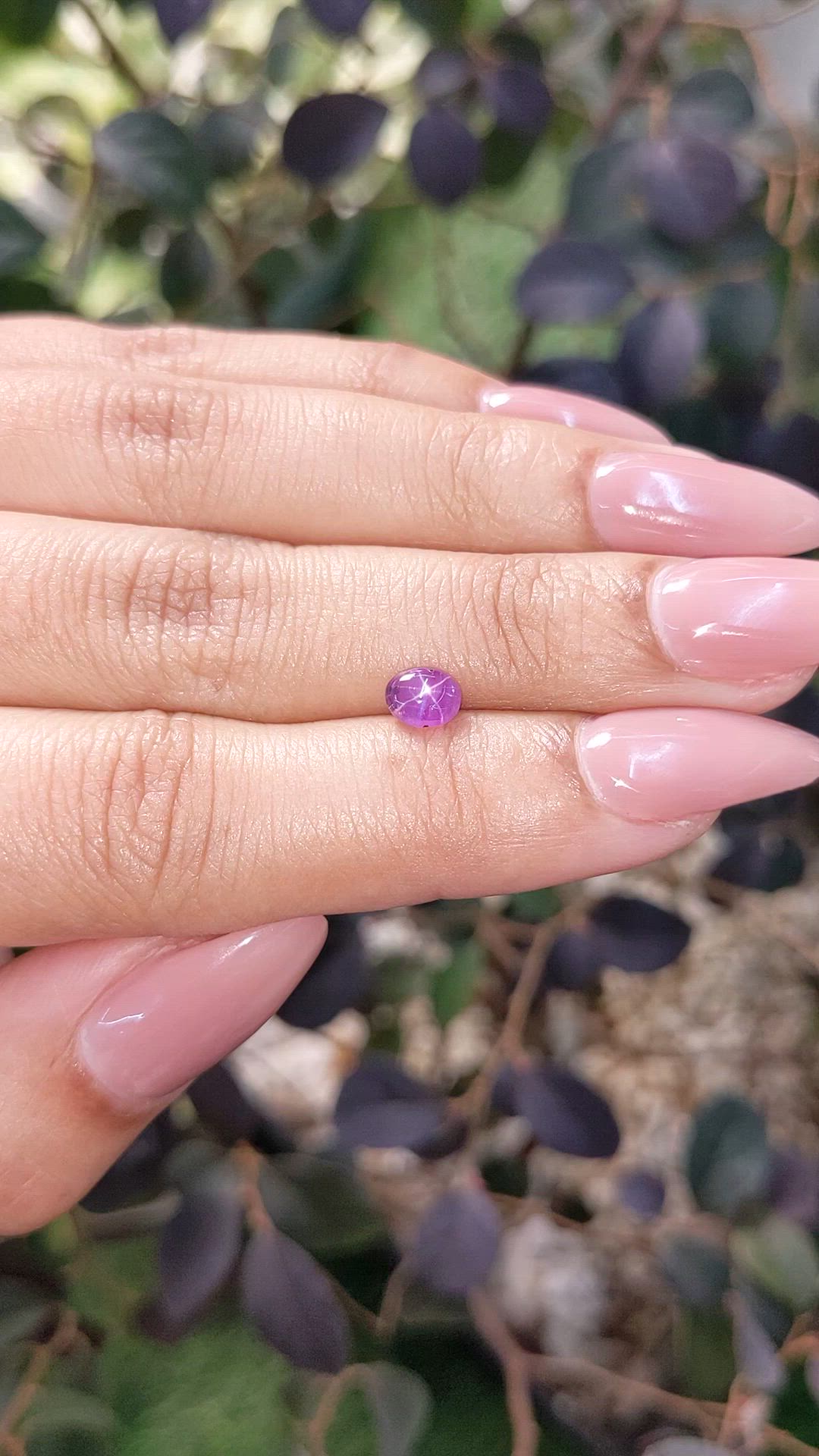 0.86 Ct. Pinkish Purple Star Sapphire from Ceylon (Sri Lanka) Size Video