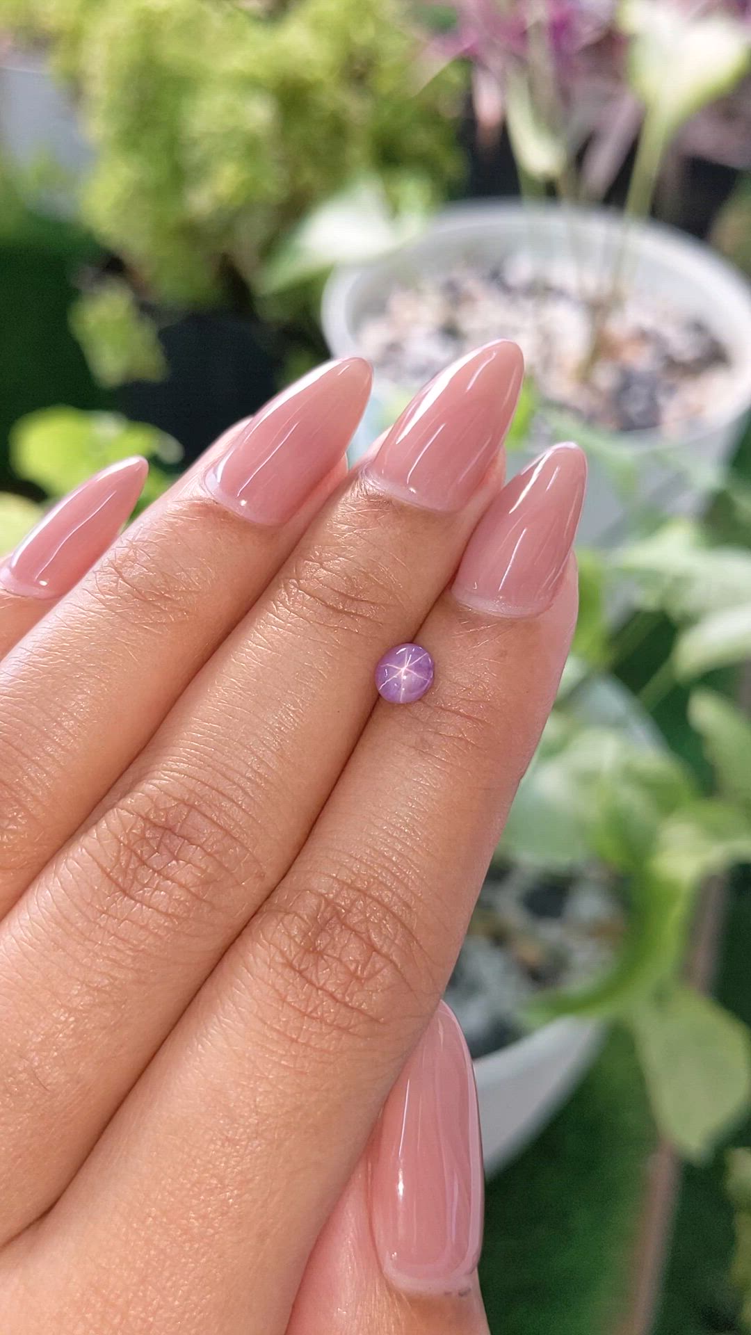 0.71 Ct. Purple Star Sapphire from Ceylon (Sri Lanka) Size Video