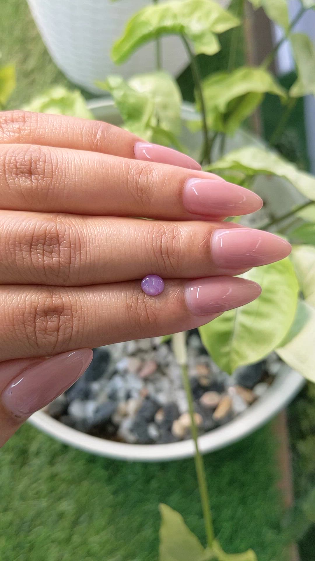 0.71 Ct. Purple Star Sapphire from Ceylon (Sri Lanka) Size Video