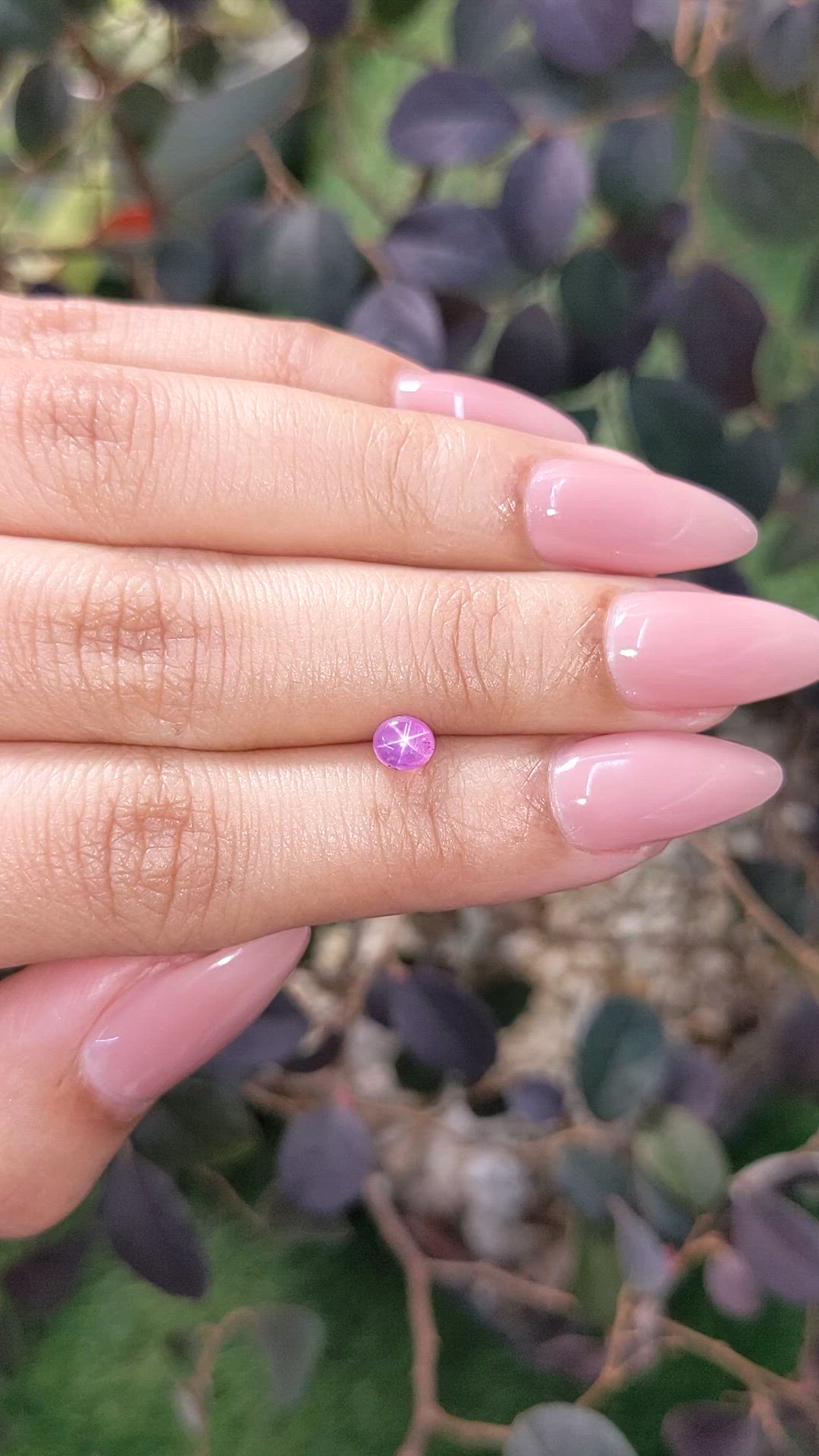 0.92 Ct. Purplish Pink Star Sapphire from Ceylon (Sri Lanka) Size Video