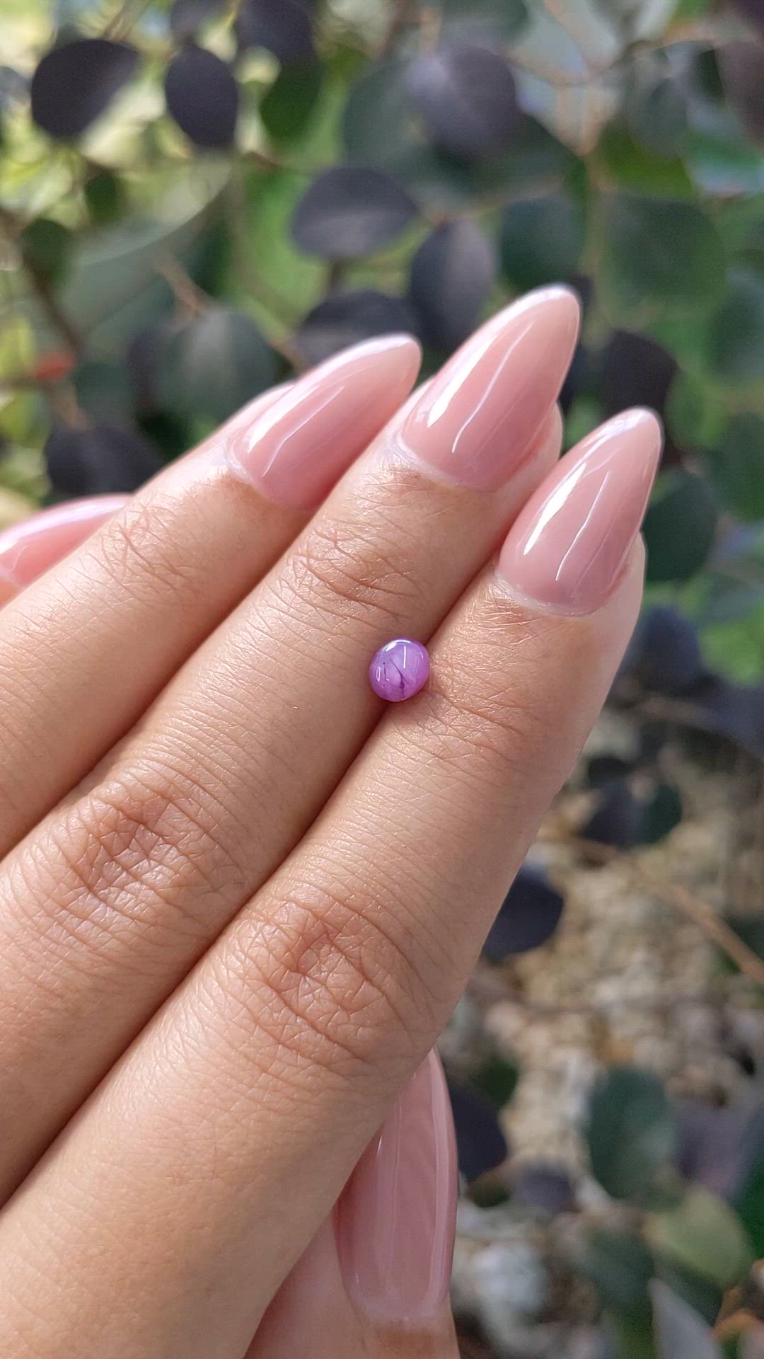 0.90 Ct. Purple Star Sapphire from Ceylon (Sri Lanka) Size Video