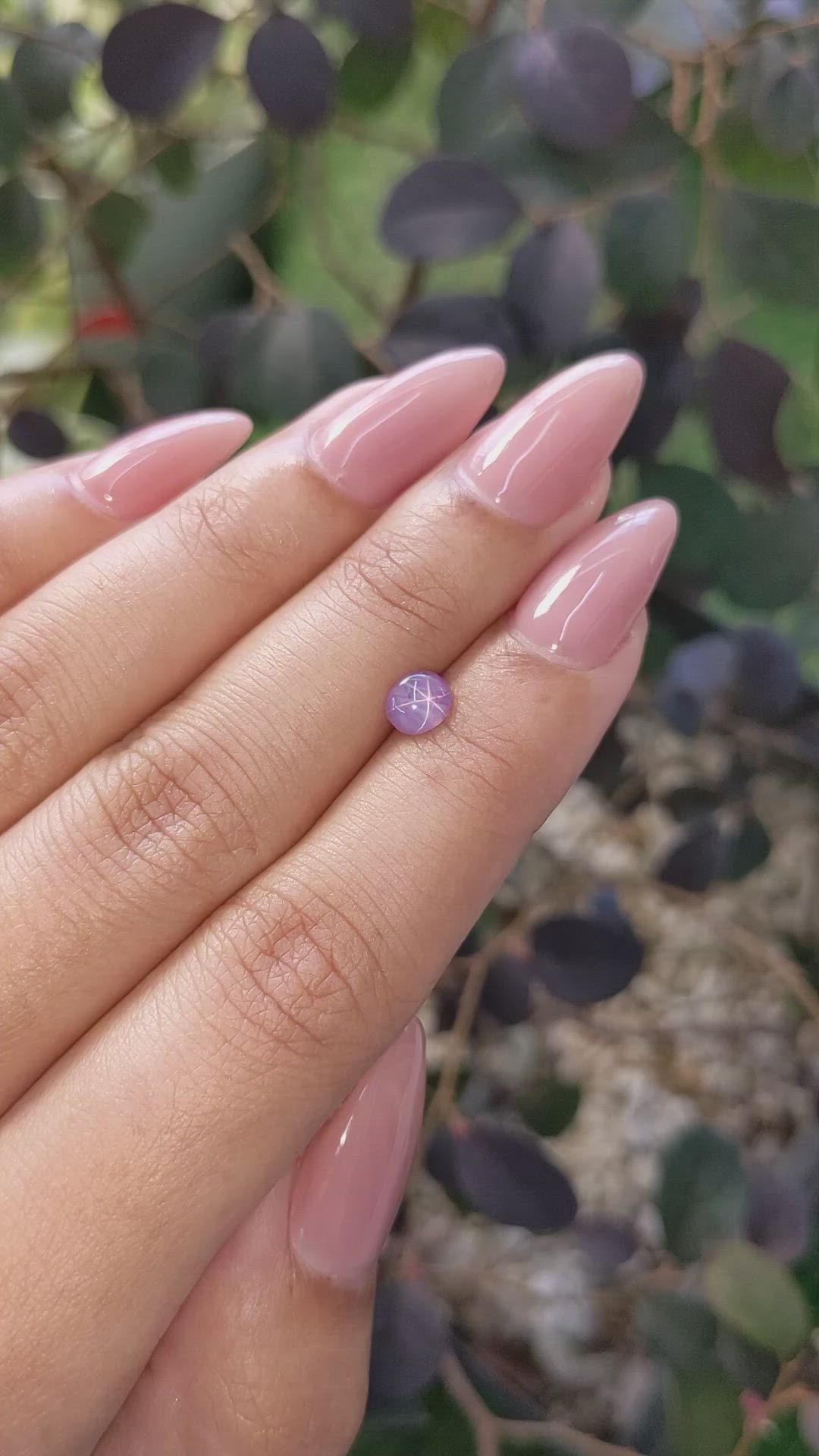 0.79 Ct. Purple Star Sapphire from Ceylon (Sri Lanka) Size Video