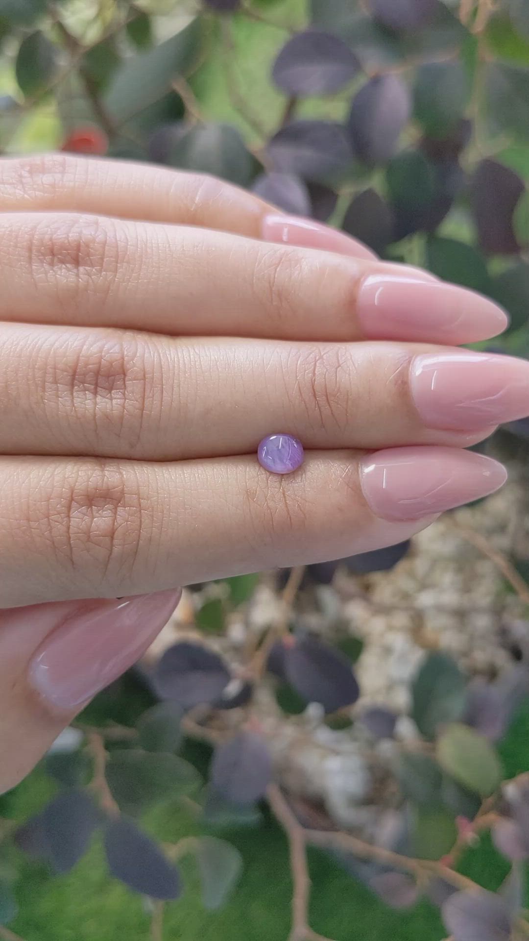 0.79 Ct. Purple Star Sapphire from Ceylon (Sri Lanka) Size Video