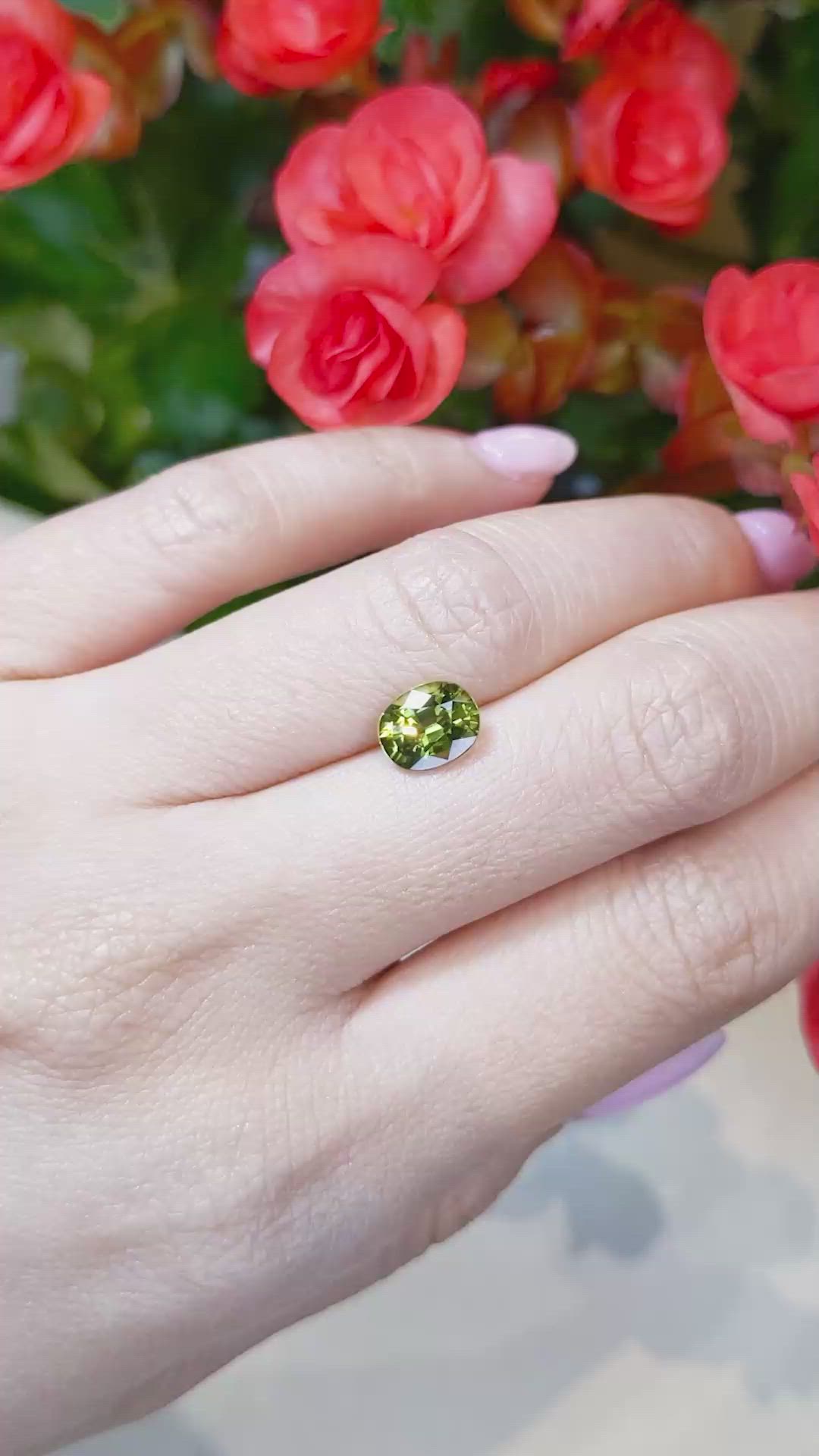 1.90 Ct. Yellowish Green Sapphire from Thailand Size Video
