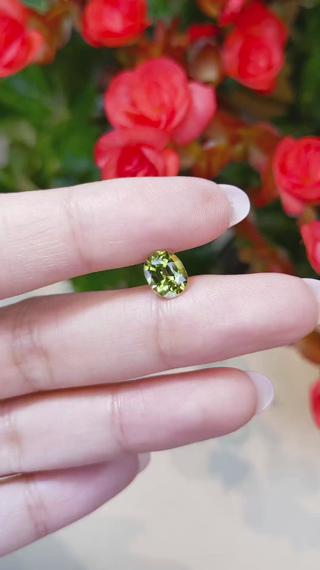 1.90 Ct. Yellowish Green Sapphire from Thailand Size Video