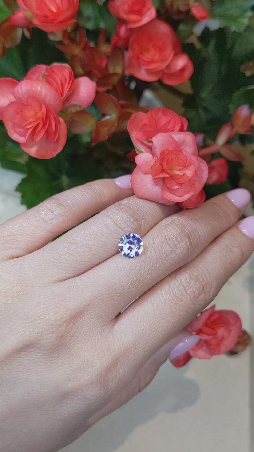 2.00 Ct. Violet Sapphire from Ceylon (Sri Lanka) Size Video