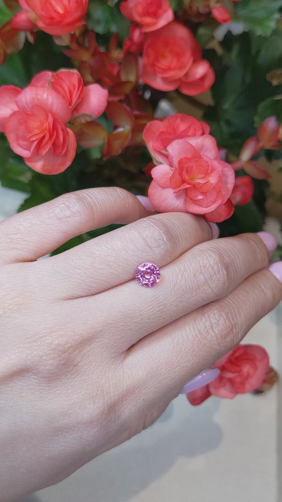 1.54 Ct. Pink Sapphire from Ceylon (Sri Lanka) Size Video