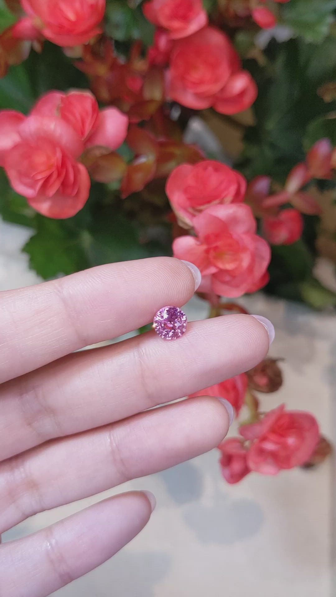 1.54 Ct. Pink Sapphire from Ceylon (Sri Lanka) Size Video