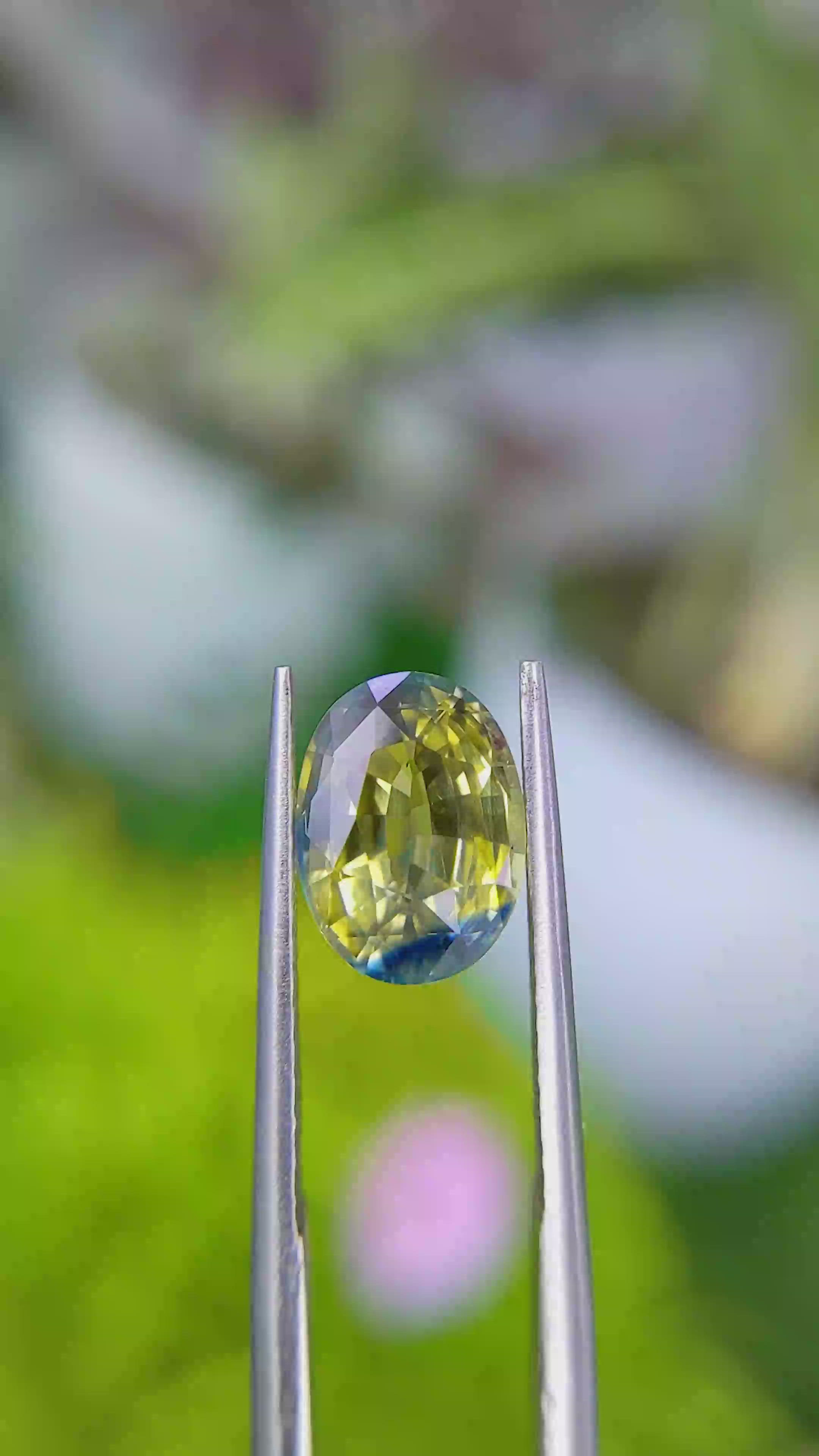 3.40 Ct. Bi Color Sapphire from Ceylon (Sri Lanka) Size Video