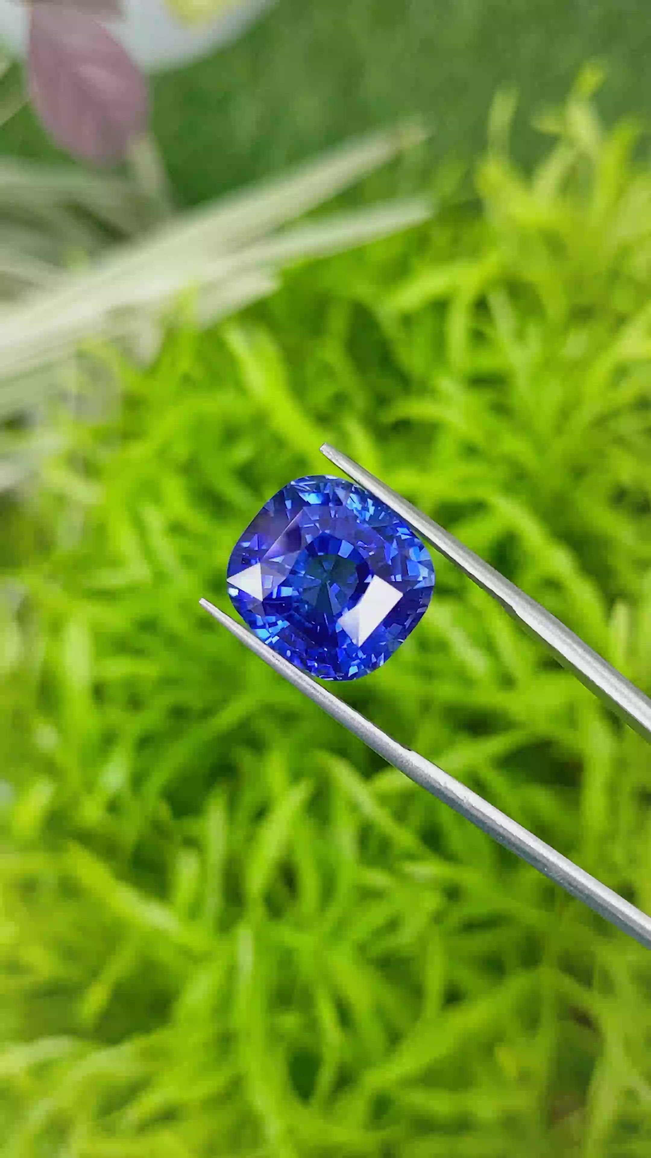 64.58 Ct. Blue Sapphire from Ceylon (Sri Lanka) Size Video