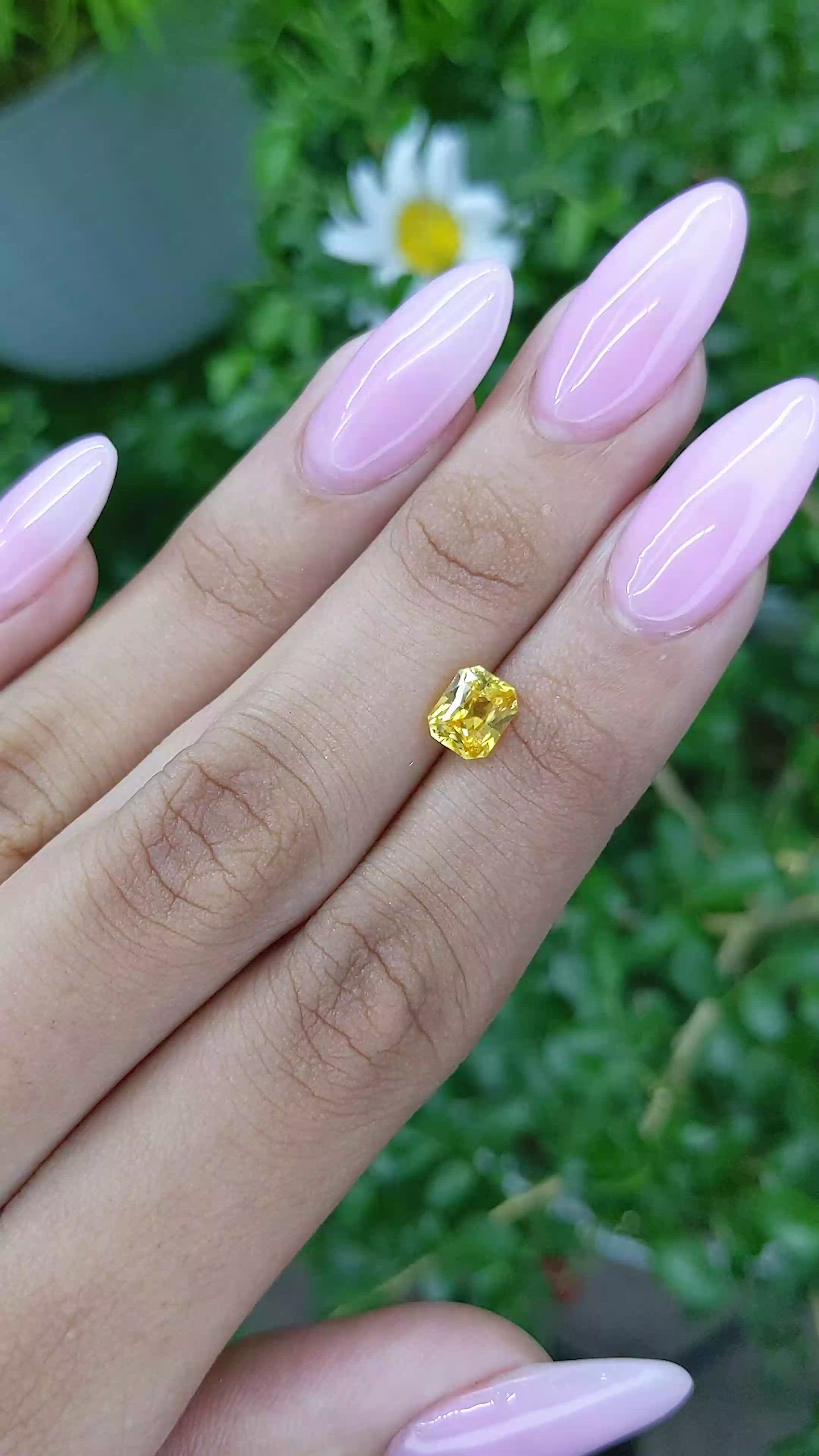 1.53 Ct. Yellow Sapphire from Ceylon (Sri Lanka) Size Video