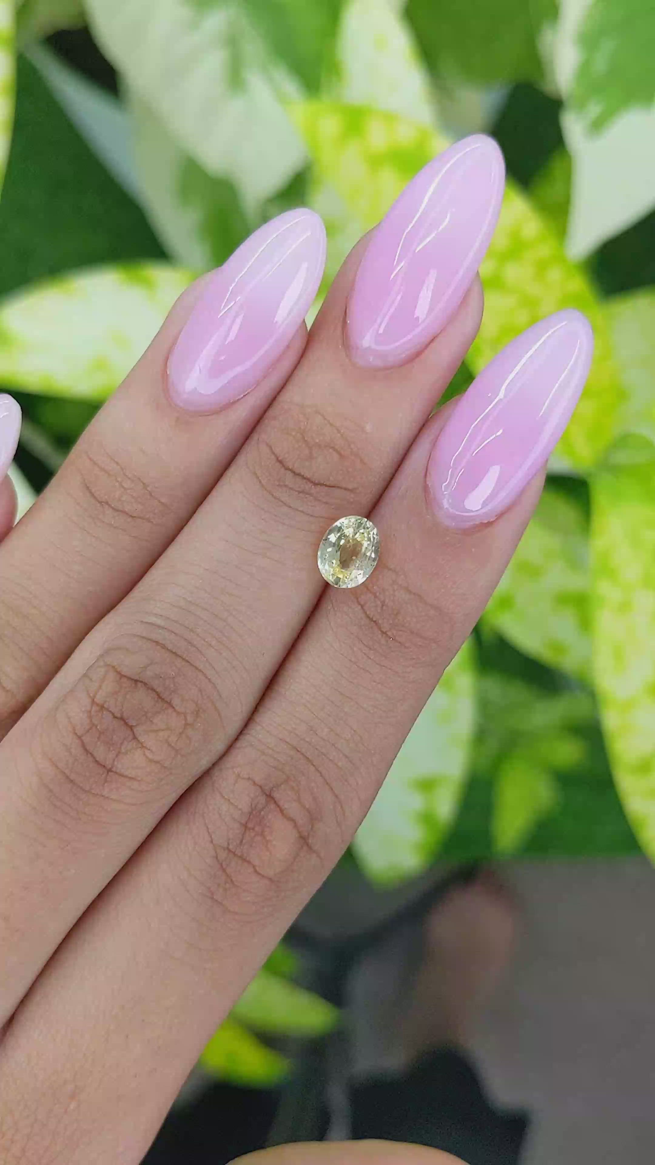 1.59 Ct. Yellow Sapphire from Ceylon (Sri Lanka) Size Video