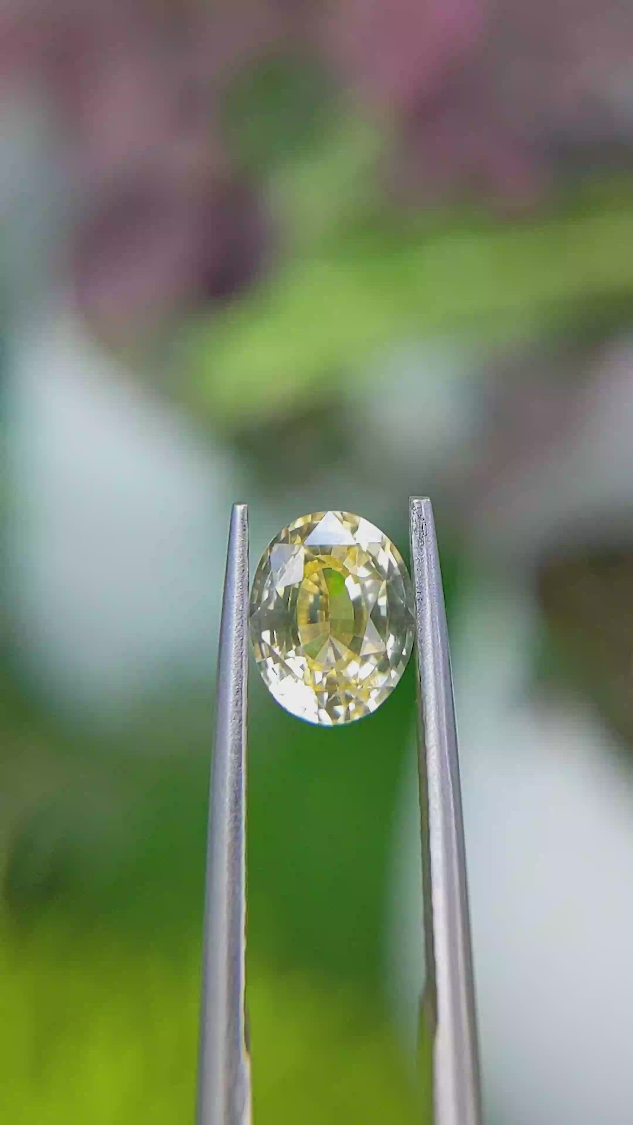 1.59 Ct. Yellow Sapphire from Ceylon (Sri Lanka) Size Video