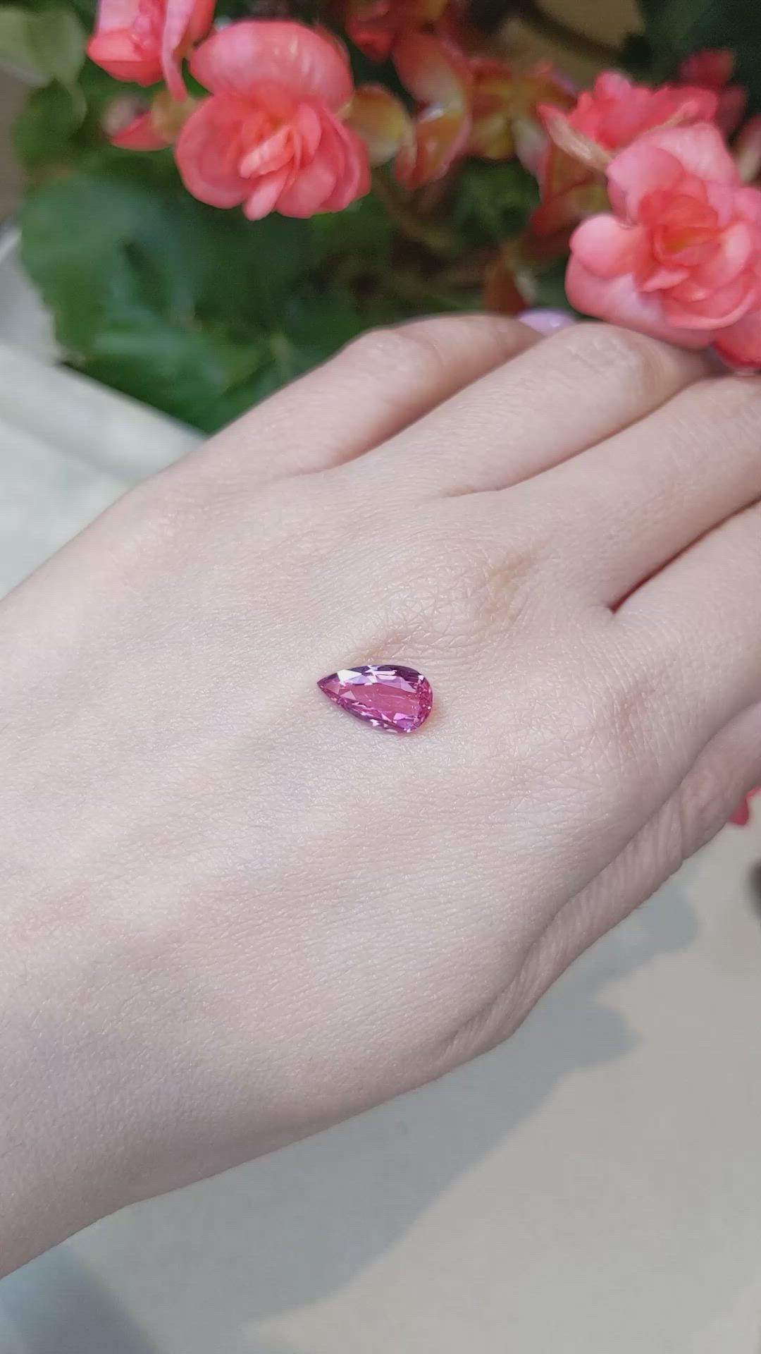 2.26 Ct. Pink Sapphire from Ceylon (Sri Lanka) Size Video
