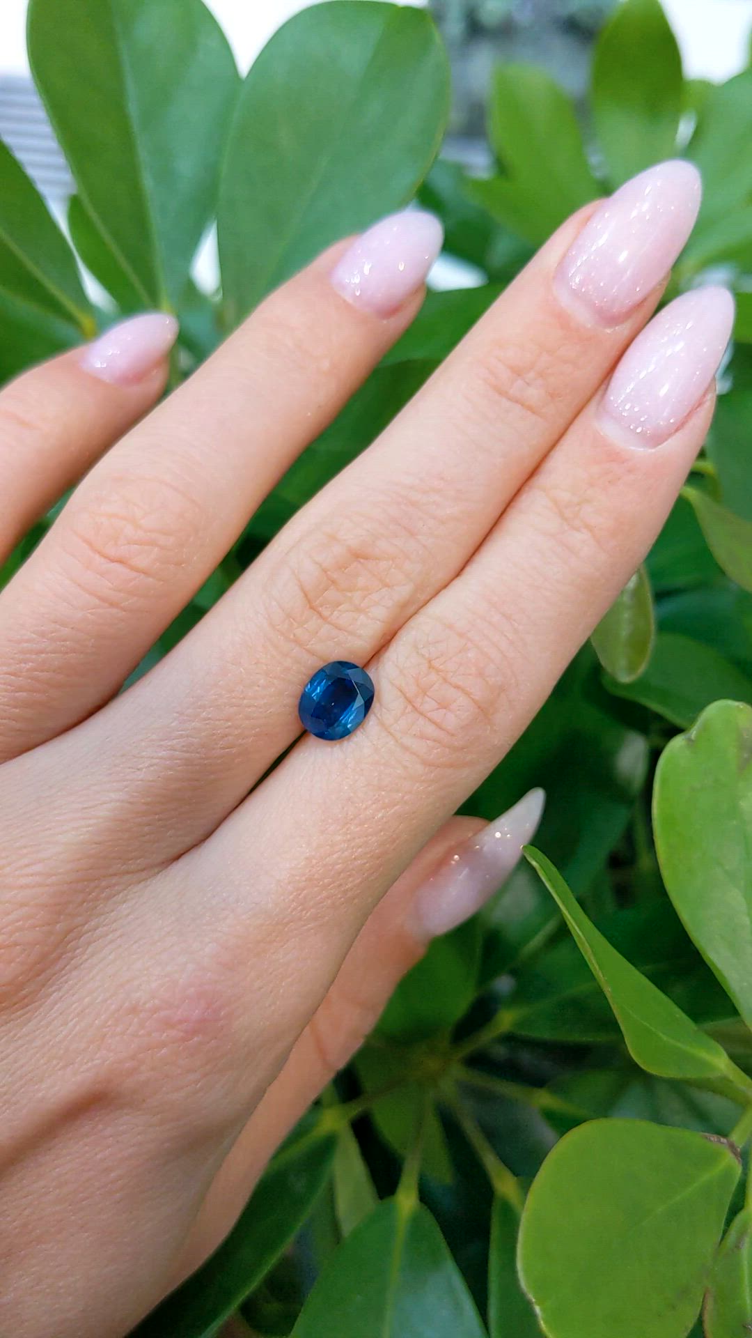 1.85 Ct. Blue Sapphire from Ceylon (Sri Lanka) Size Video