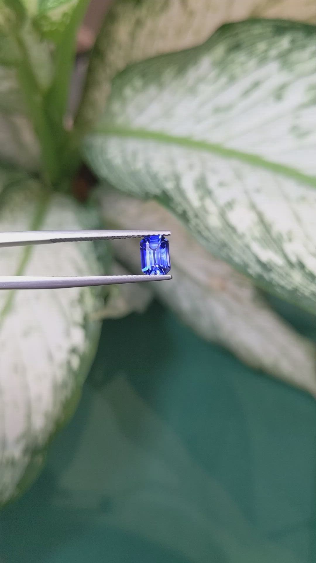 1.02 Ct. Sapphire from Ceylon (Sri Lanka) Size Video