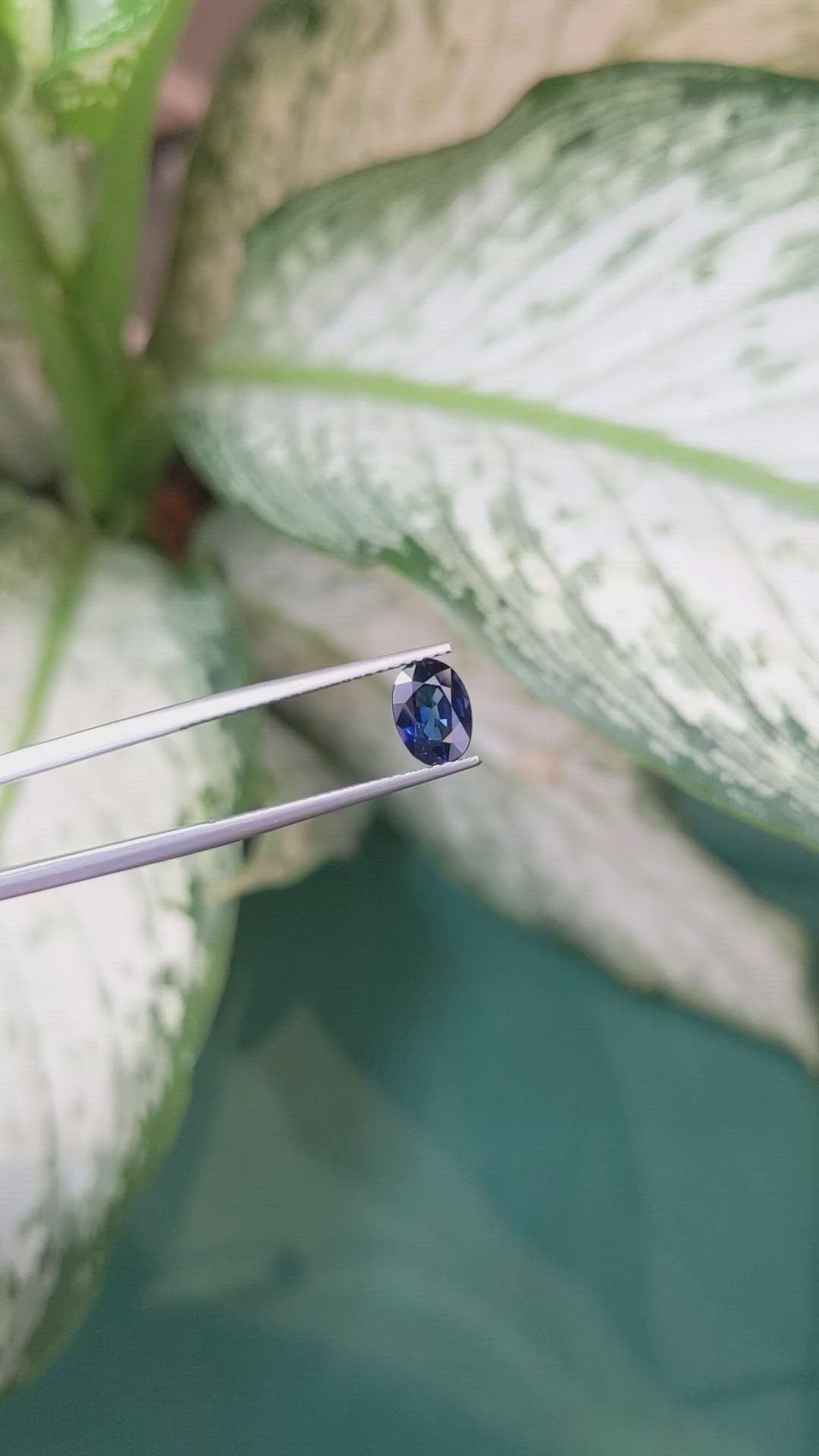 1.26 Ct. Blue Sapphire from Ceylon (Sri Lanka) Size Video