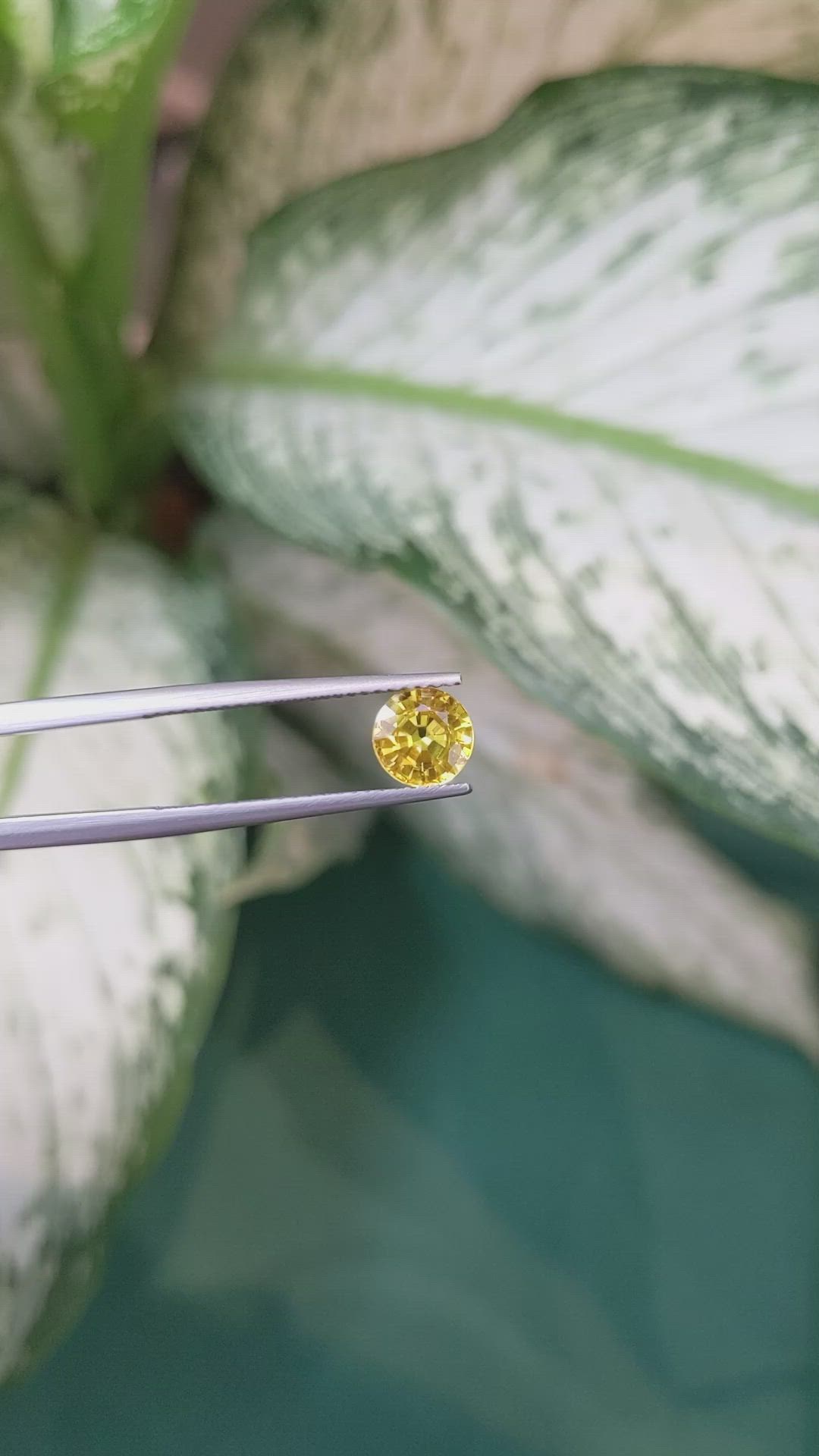 1.47 Ct. Yellow Sapphire from Ceylon (Sri Lanka) Size Video