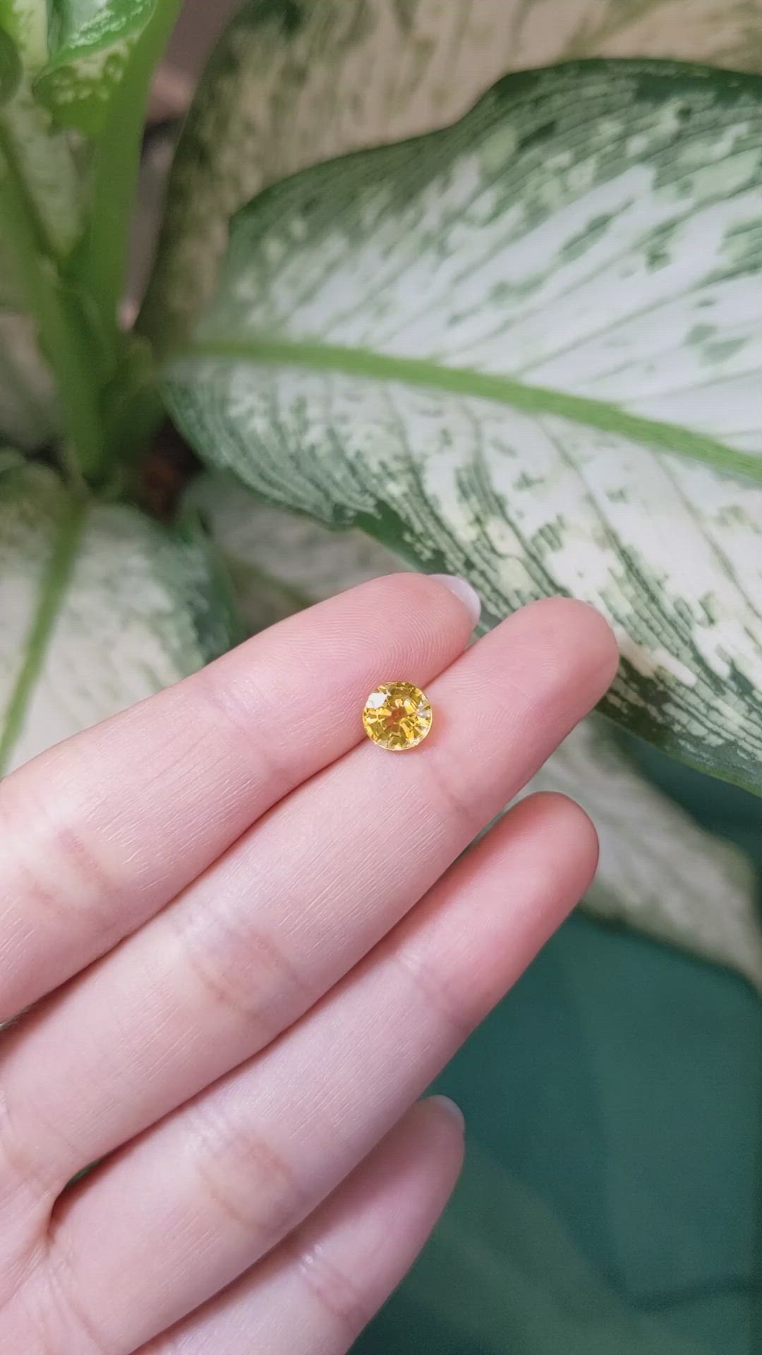 1.47 Ct. Yellow Sapphire from Ceylon (Sri Lanka) Size Video