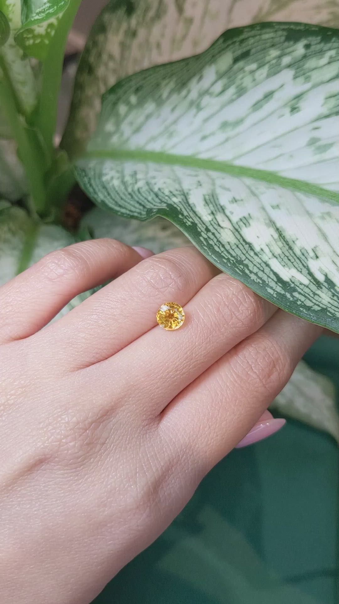 1.47 Ct. Yellow Sapphire from Ceylon (Sri Lanka) Size Video