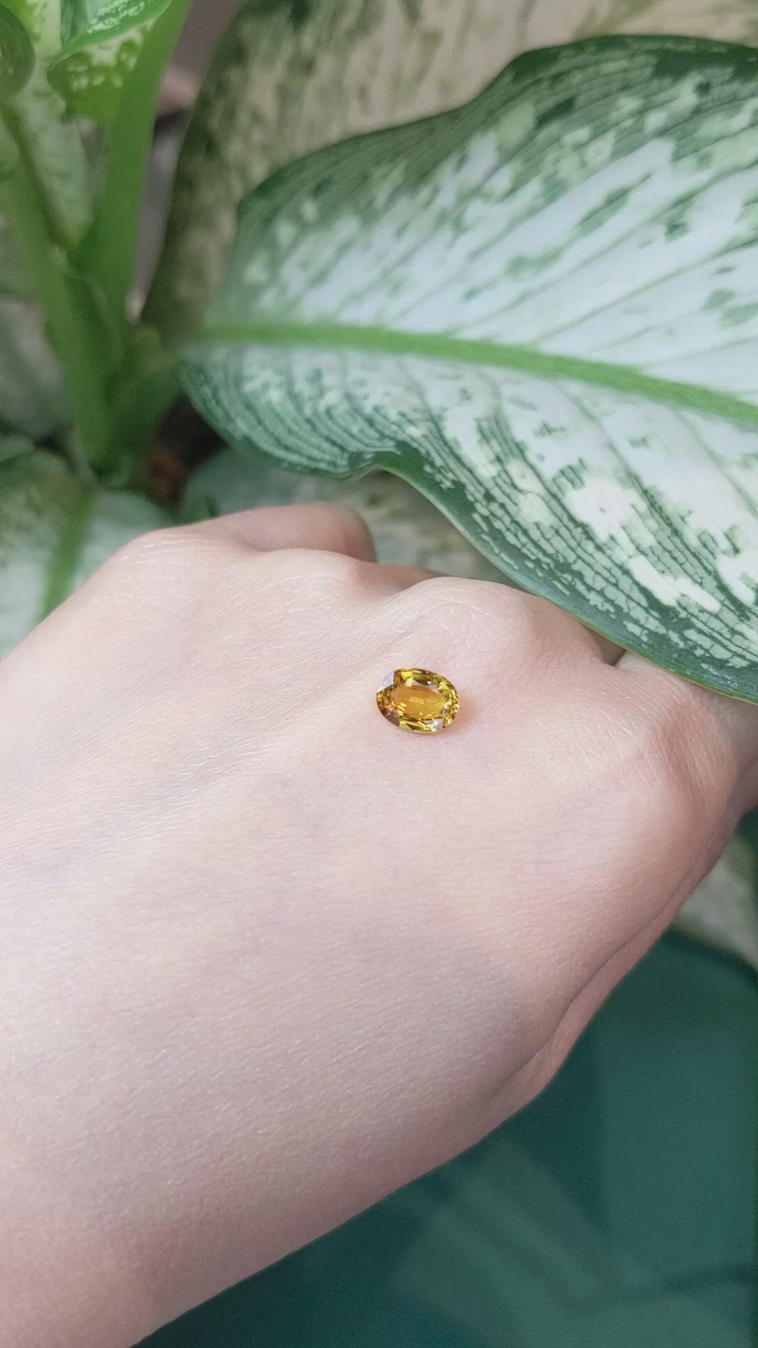 1.49 Ct. Orangish Yellow Sapphire from Ceylon (Sri Lanka) Size Video