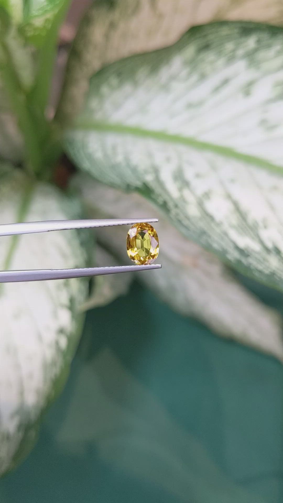 1.49 Ct. Orangish Yellow Sapphire from Ceylon (Sri Lanka) Size Video