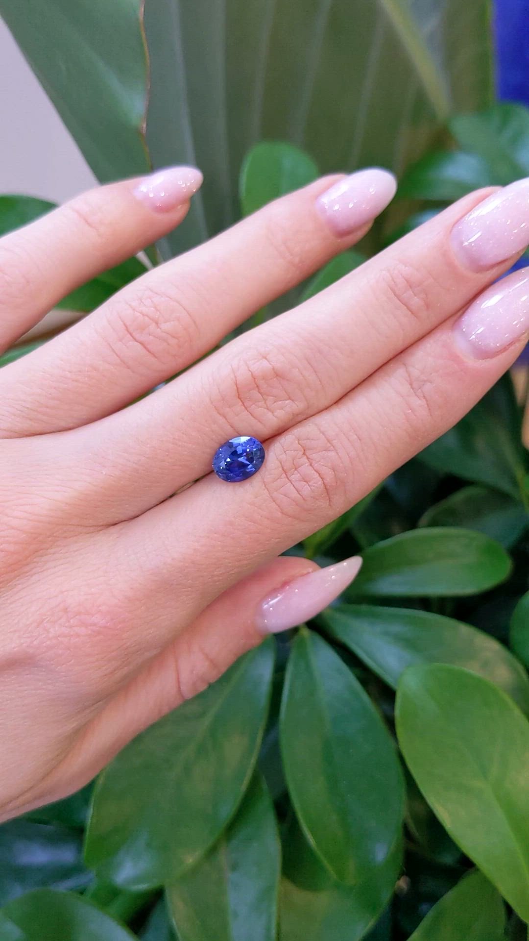 1.79 Ct. Blue Sapphire from Ceylon (Sri Lanka) Size Video
