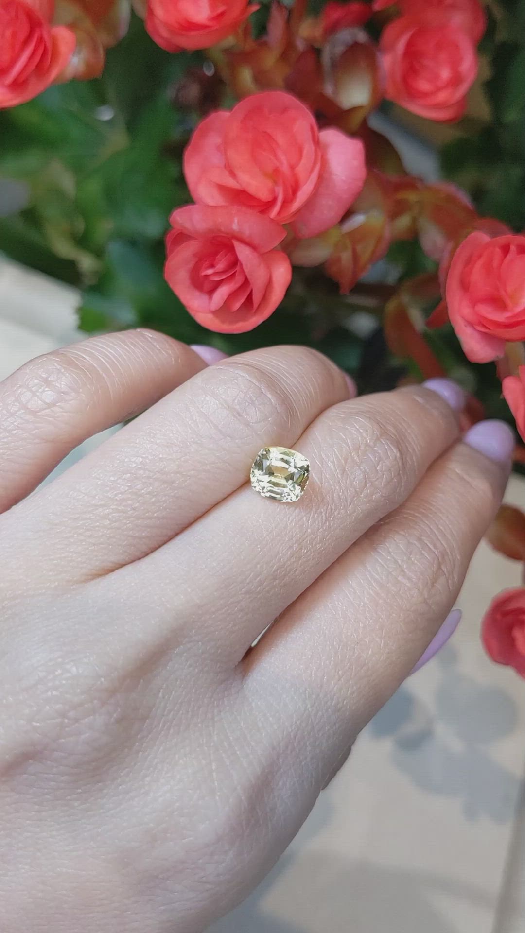 2.00 Ct. Yellow Sapphire from Ceylon (Sri Lanka) Size Video
