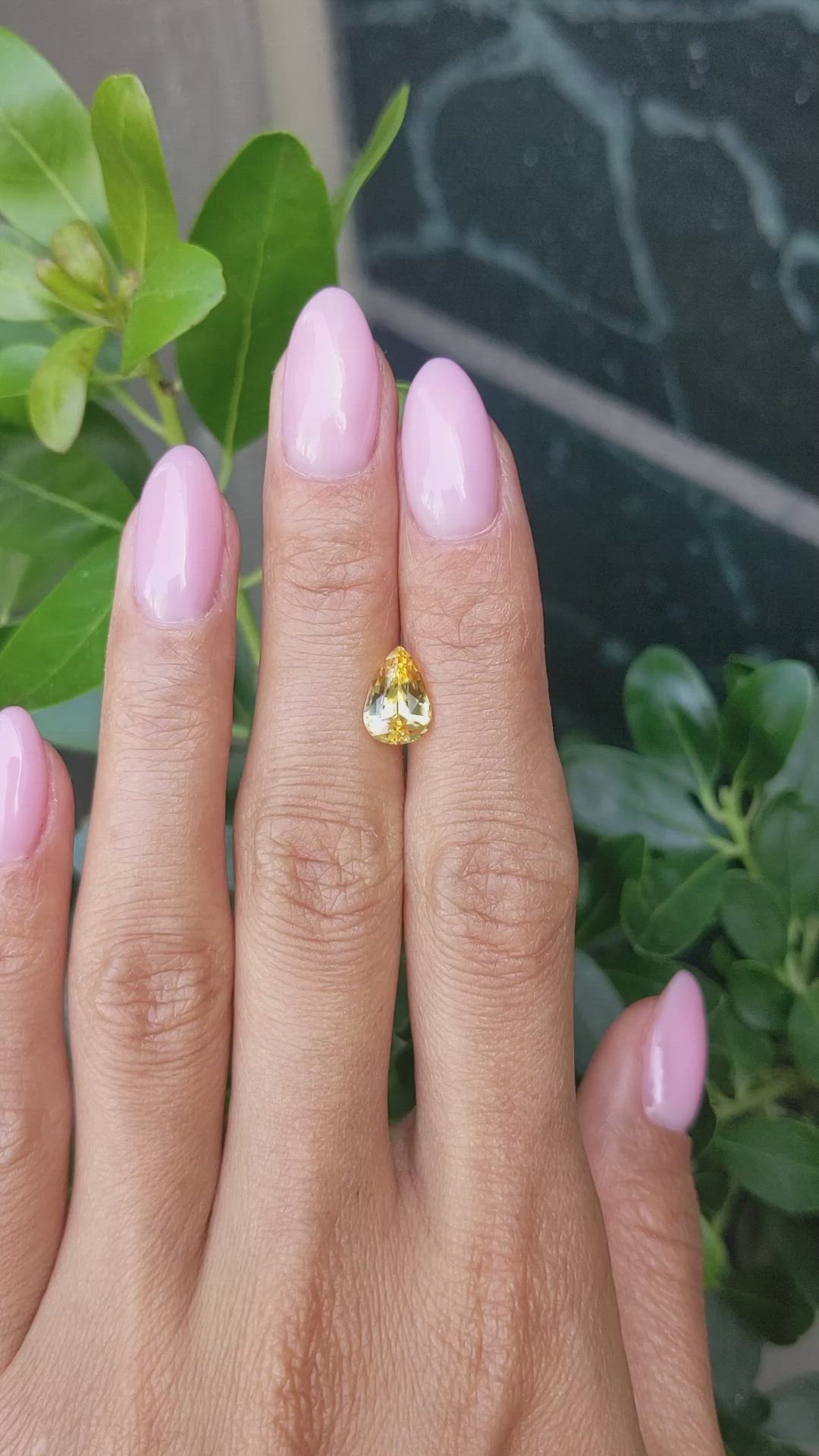 2.00 Ct. Yellow Sapphire from Ceylon (Sri Lanka) Size Video