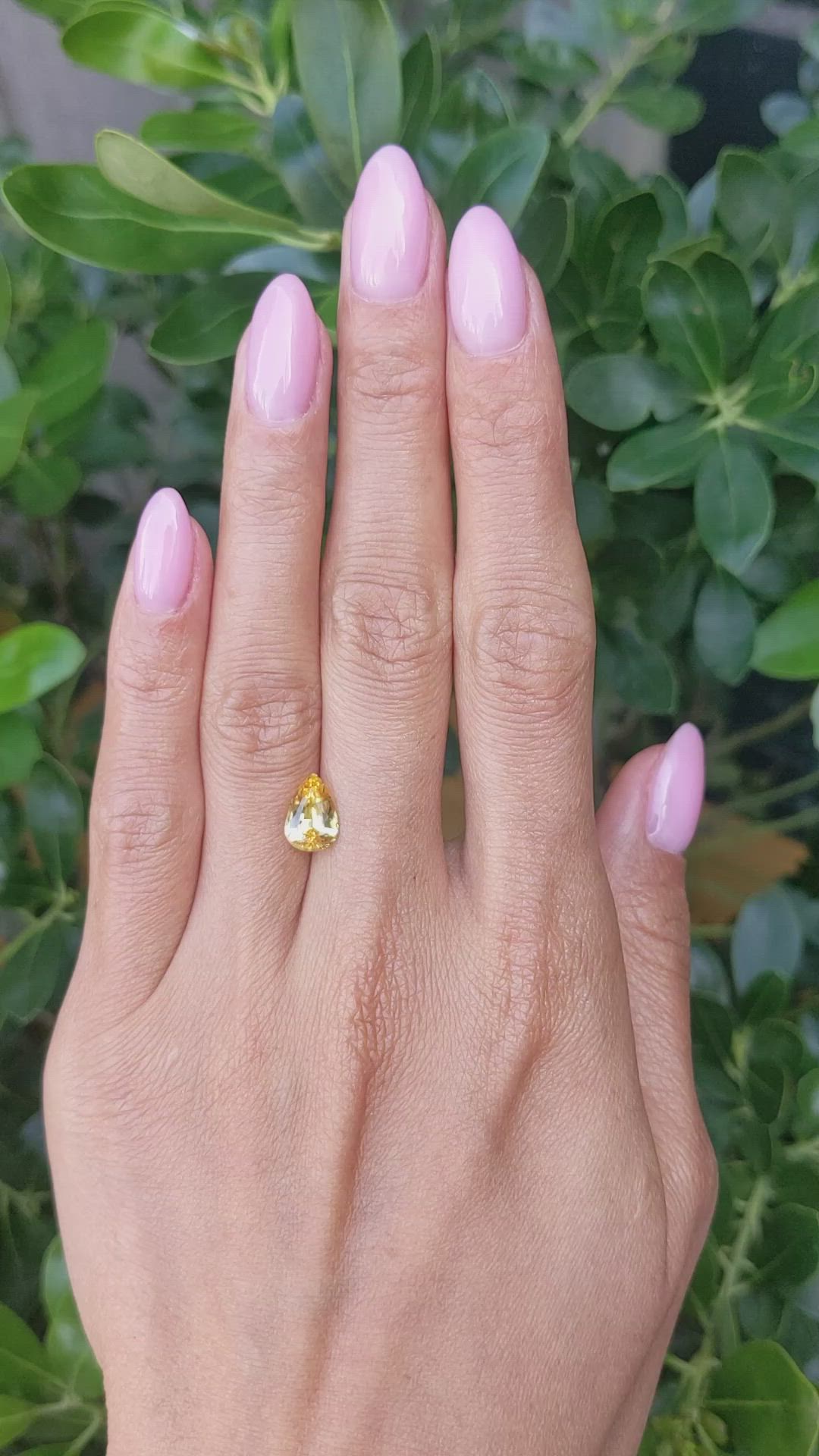 2.00 Ct. Yellow Sapphire from Ceylon (Sri Lanka) Size Video