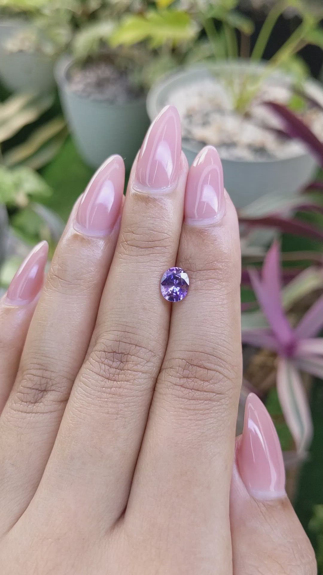 1.15 Ct. Bi Color Sapphire from Ceylon (Sri Lanka) Size Video