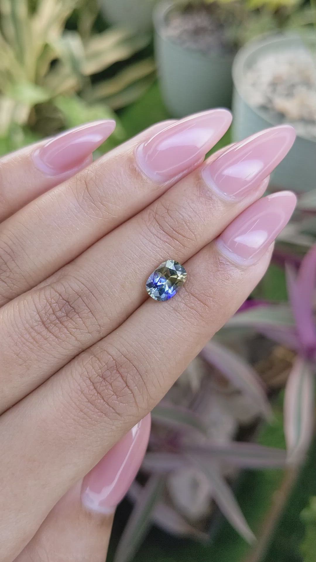 1.68 Ct. Bi Color Sapphire from Ceylon (Sri Lanka) Size Video