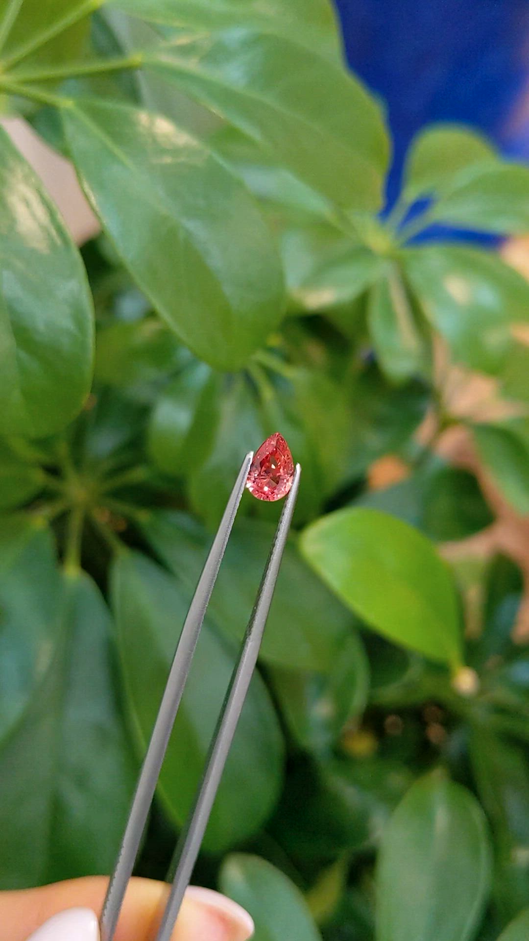 1.03 Ct. Padparadscha Sapphire from Ceylon (Sri Lanka) Size Video