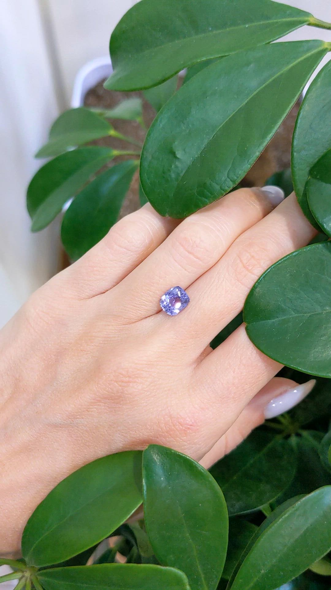 1.94 Ct. Purple Sapphire from Ceylon (Sri Lanka) Size Video