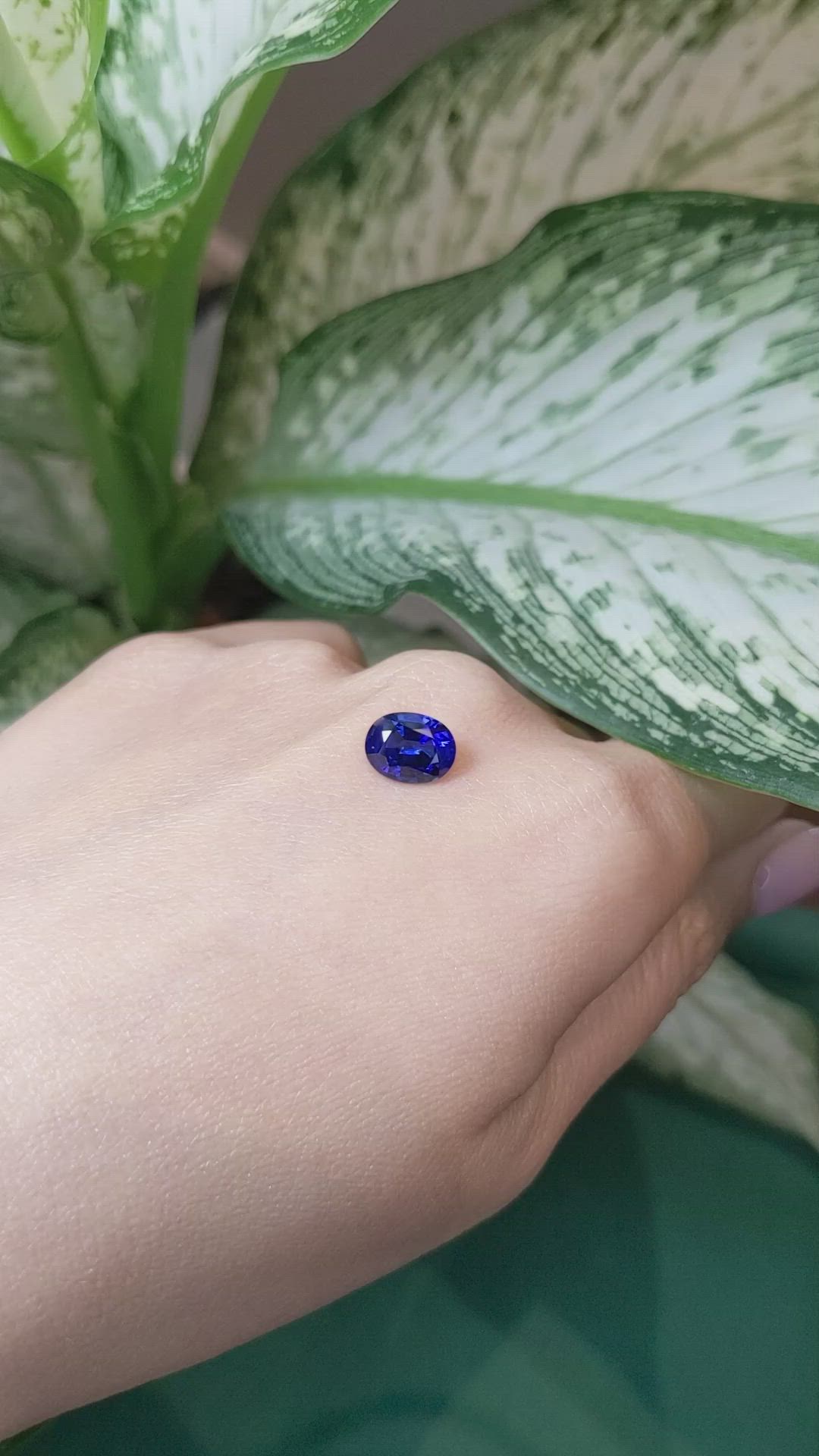 2.50 Ct. Blue Sapphire from Ceylon (Sri Lanka) Size Video