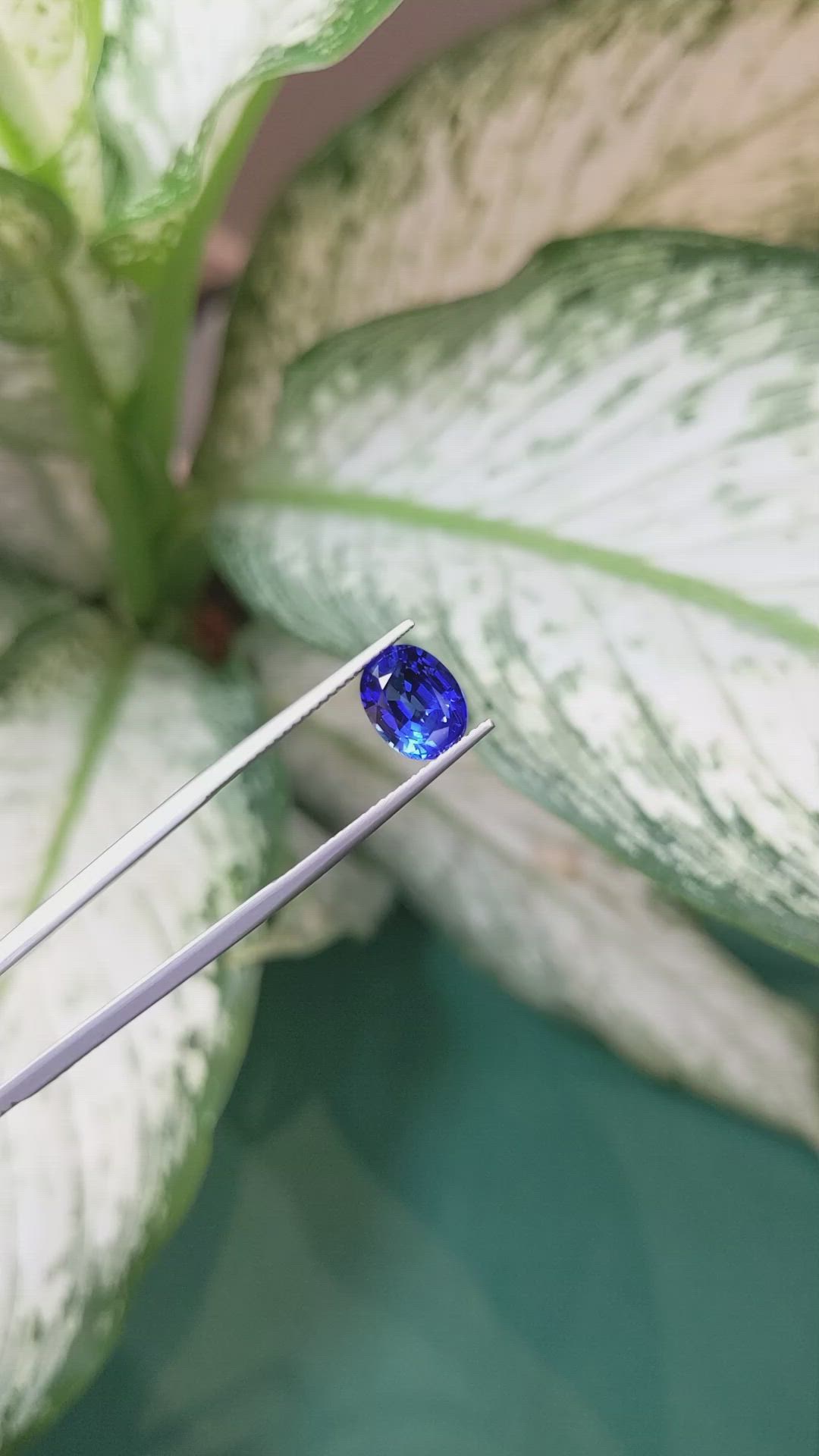 2.50 Ct. Blue Sapphire from Ceylon (Sri Lanka) Size Video