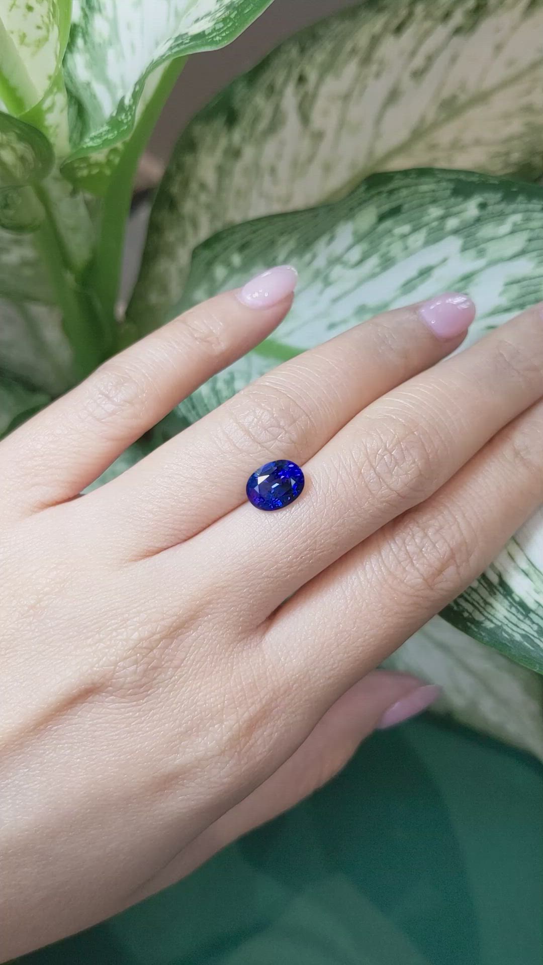 2.50 Ct. Blue Sapphire from Ceylon (Sri Lanka) Size Video