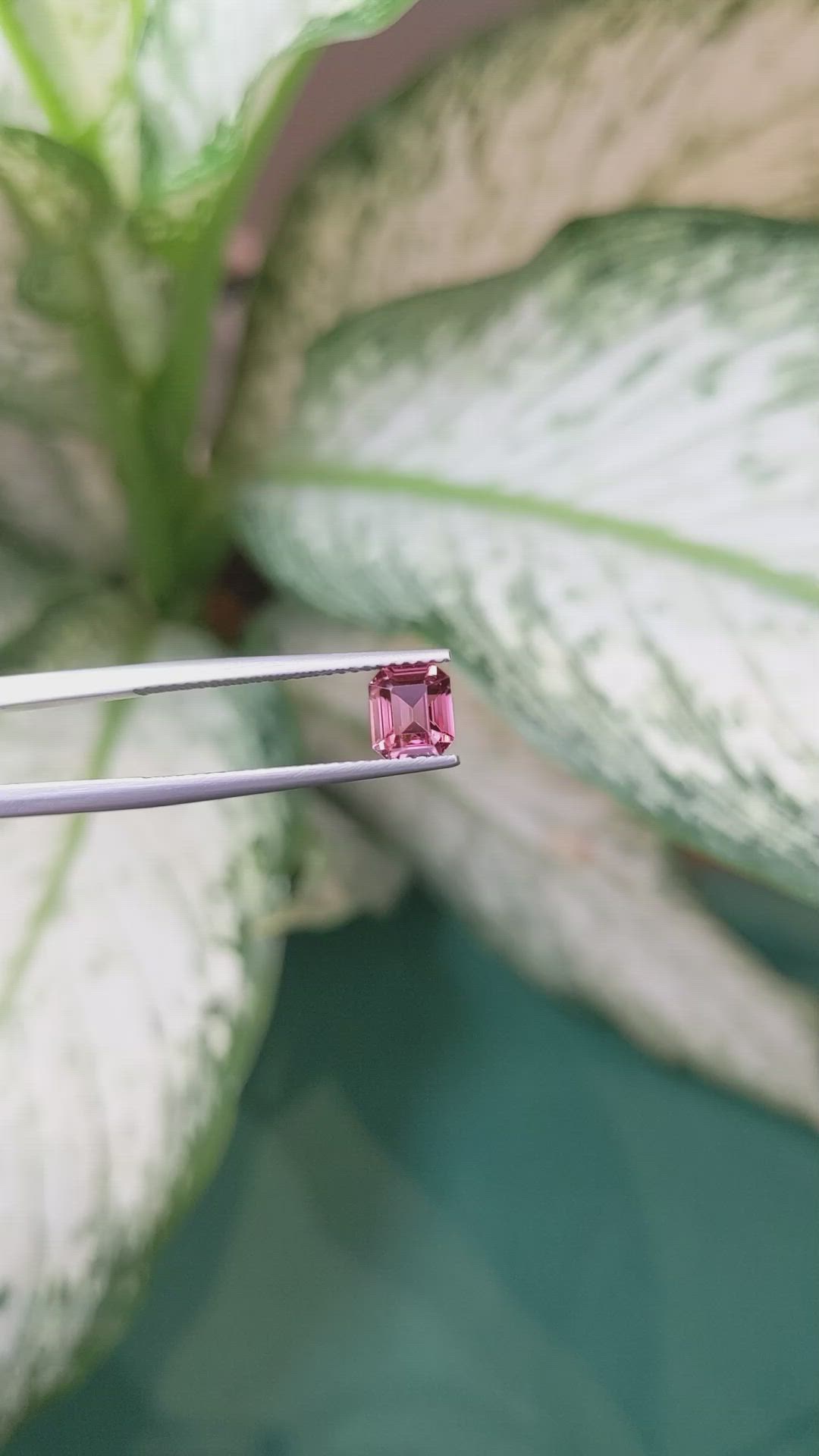 1.43 Ct. Reddish Pink Sapphire from Ceylon (Sri Lanka) Size Video
