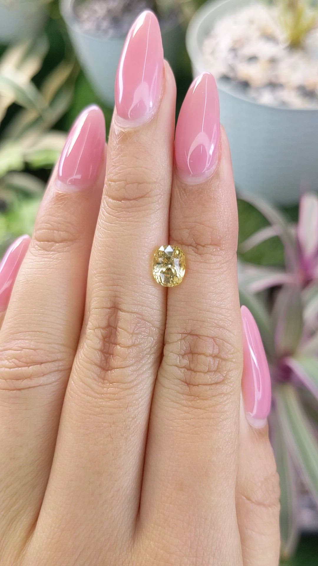 2.14 Ct. Yellow Sapphire from Ceylon (Sri Lanka) Size Video