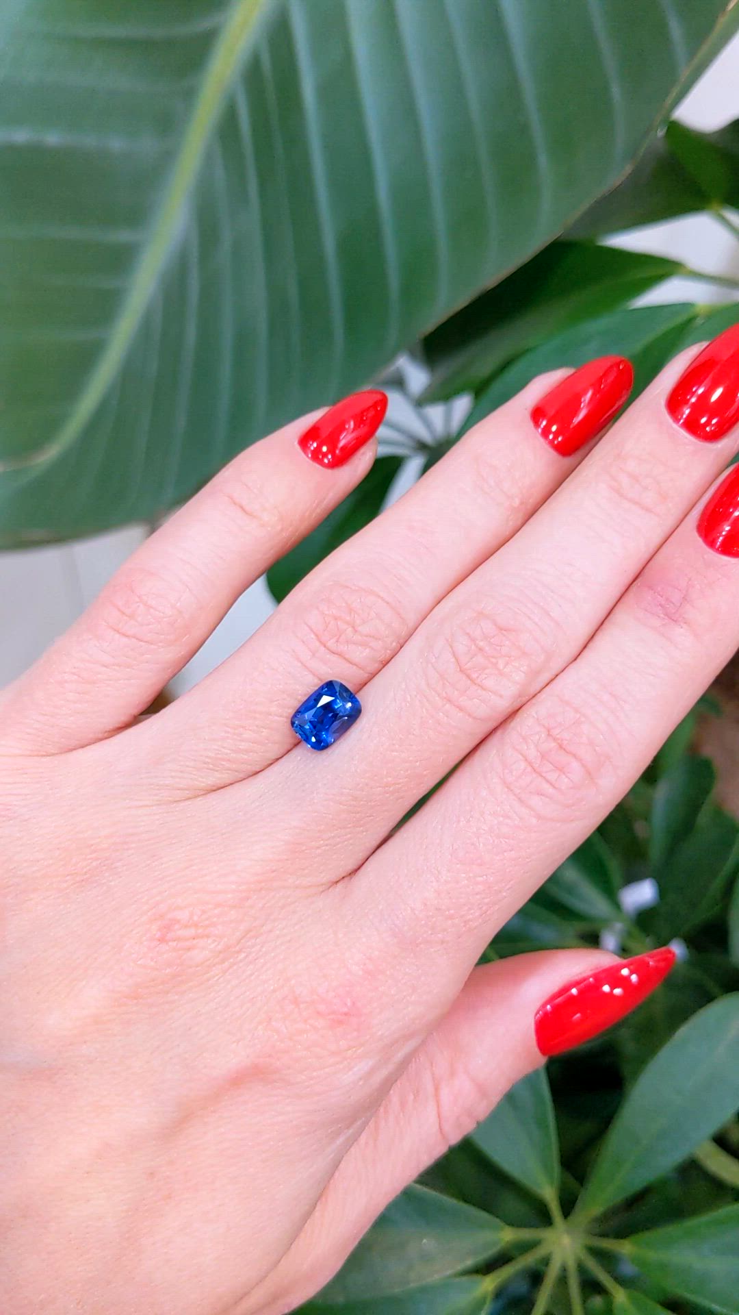 1.83 Ct. Blue Sapphire from Ceylon (Sri Lanka) Size Video