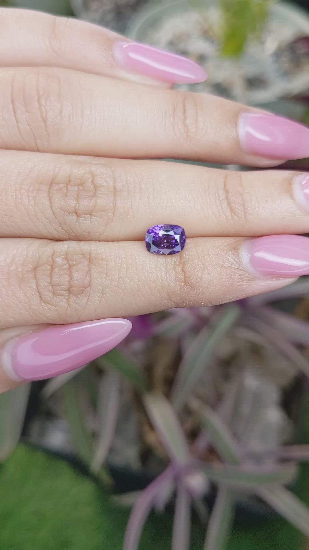 1.65 Ct. Purple Sapphire from Ceylon (Sri Lanka) Size Video