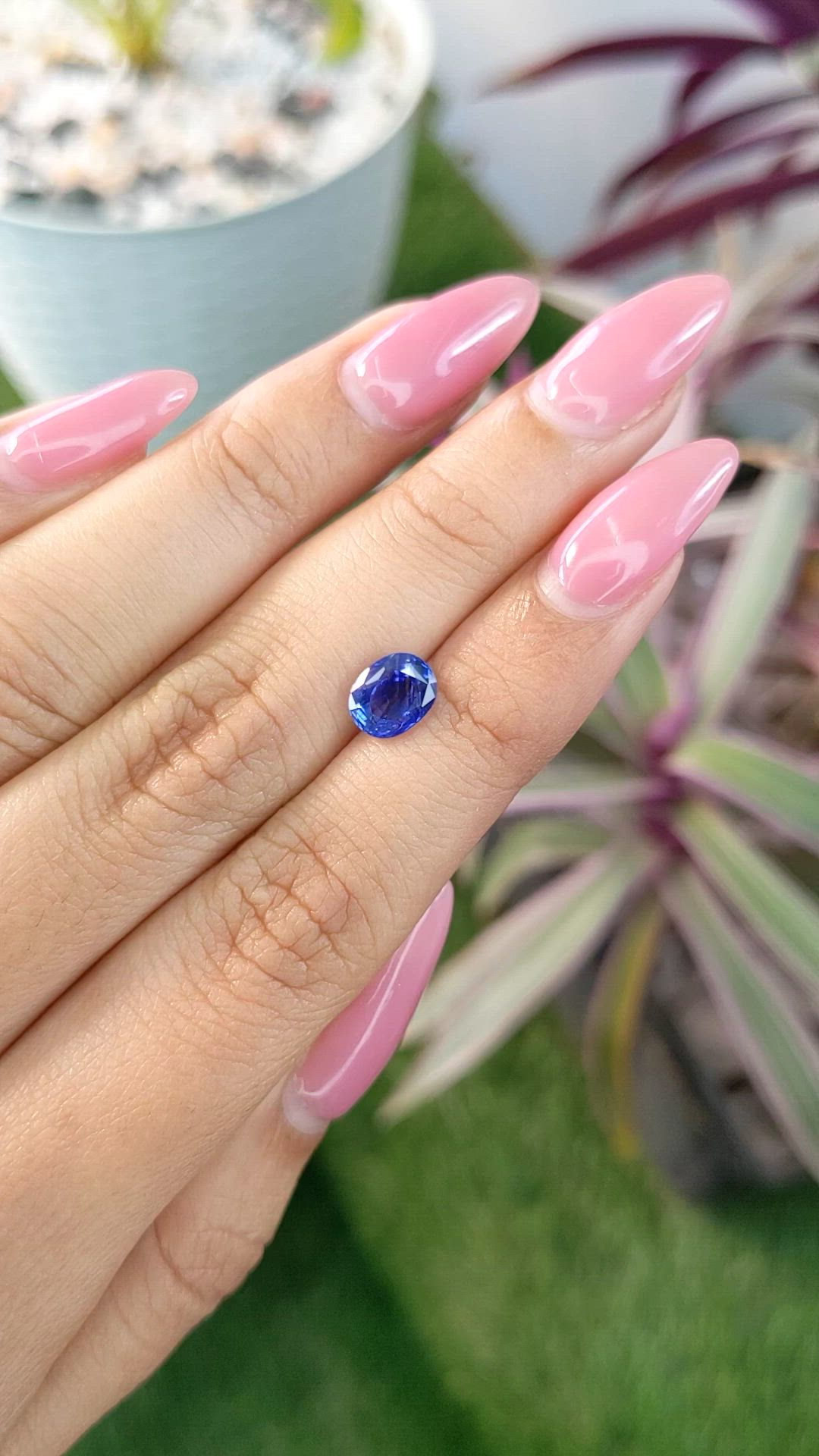 1.65 Ct. Blue Sapphire from Ceylon (Sri Lanka) Size Video