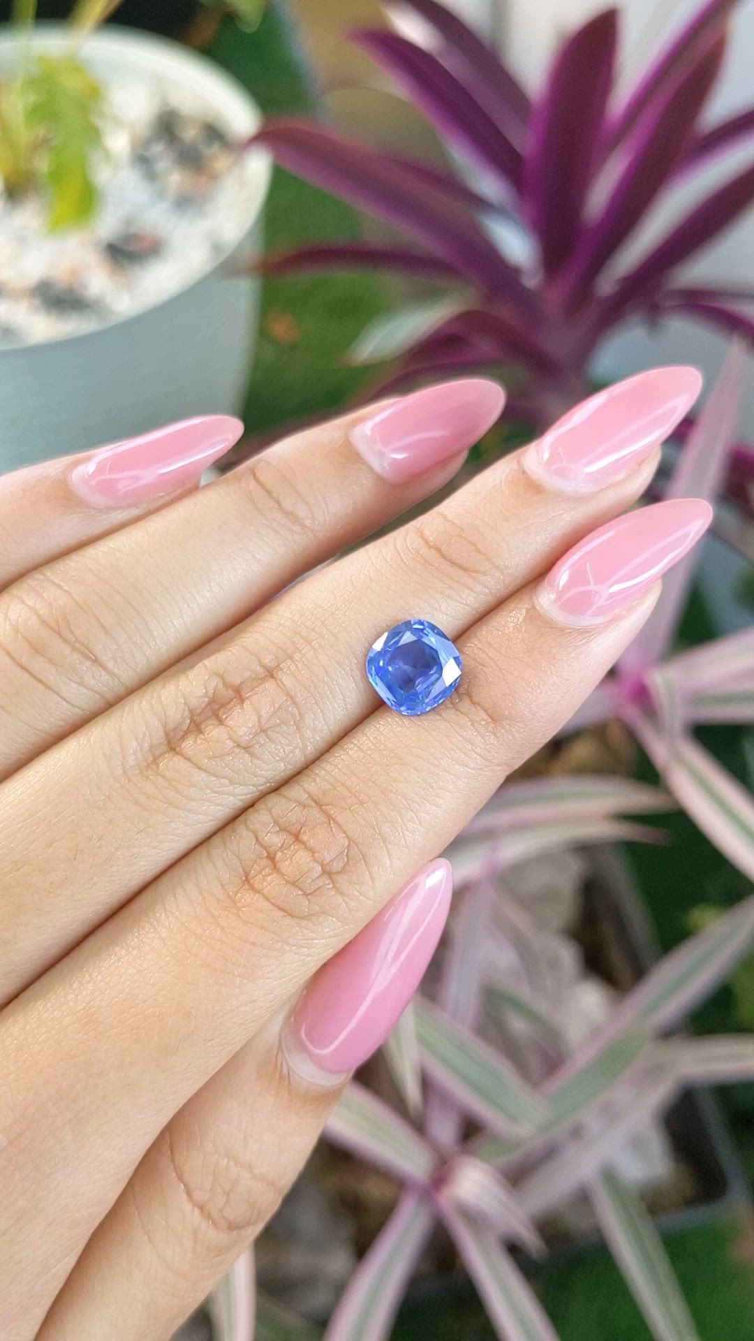 2.51 Ct. Blue Sapphire from Ceylon (Sri Lanka) Size Video