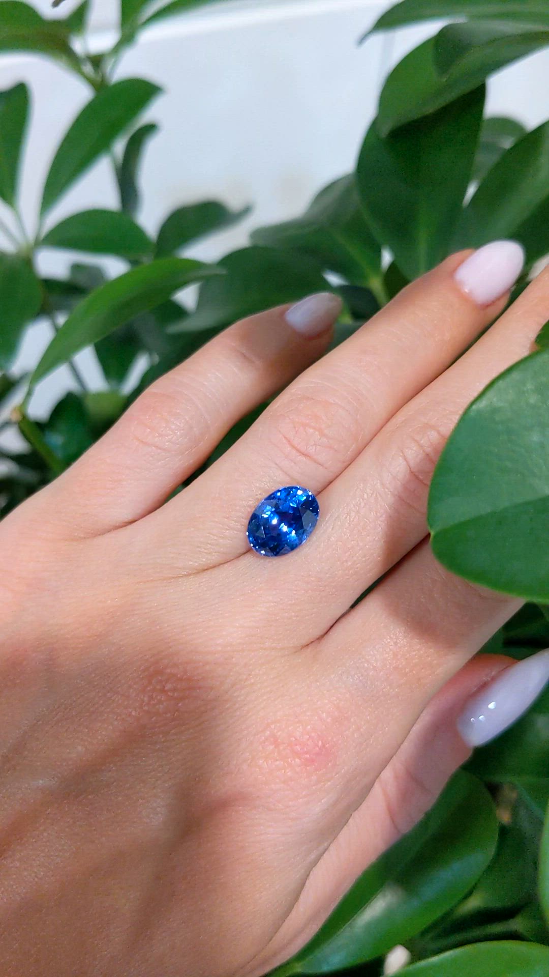 5.01 Ct. Blue Sapphire from Ceylon (Sri Lanka) Size Video