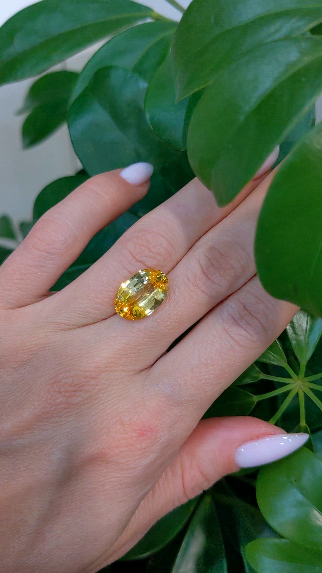 8.04 Ct. Yellow Sapphire from Ceylon (Sri Lanka) Size Video