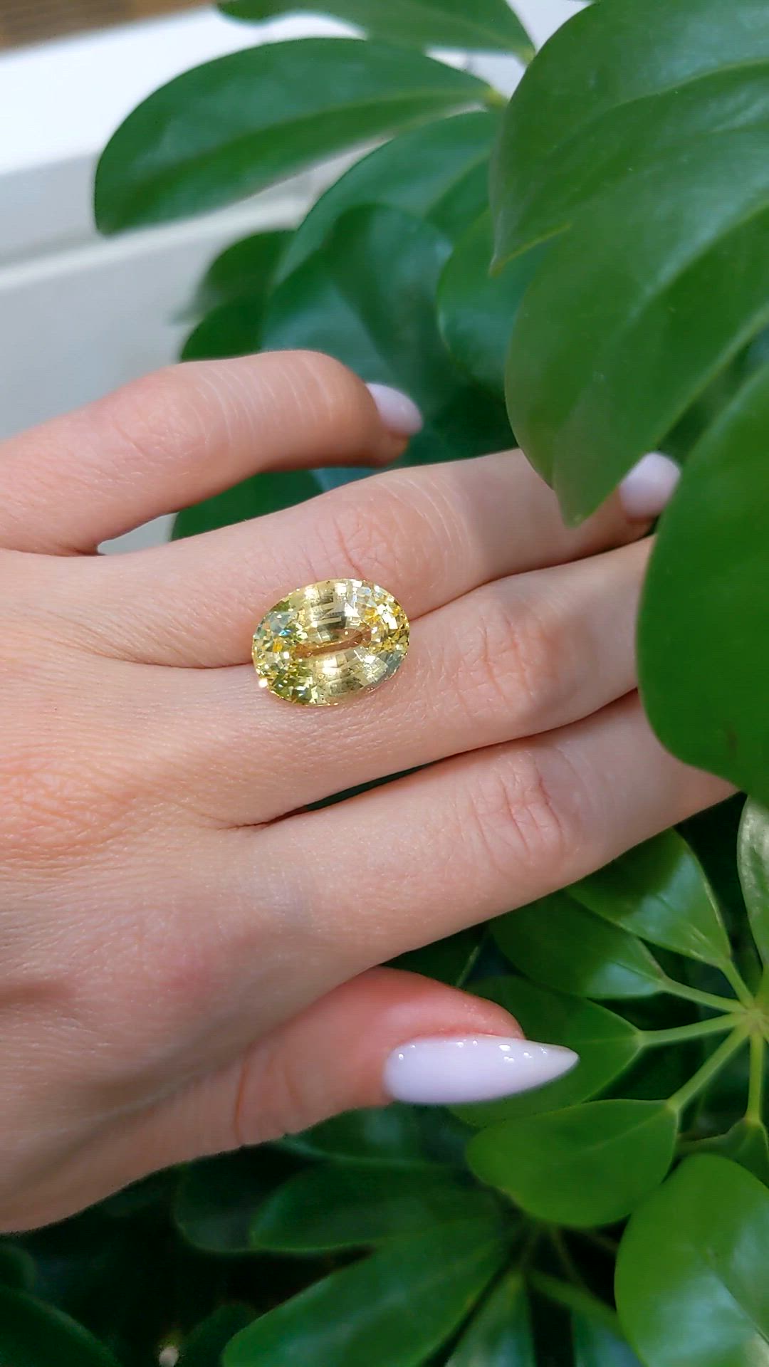 11.47 Ct. Yellow Sapphire from Ceylon (Sri Lanka) Size Video